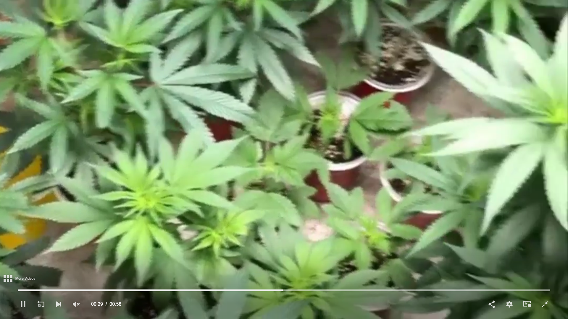 Screenshot (86).png