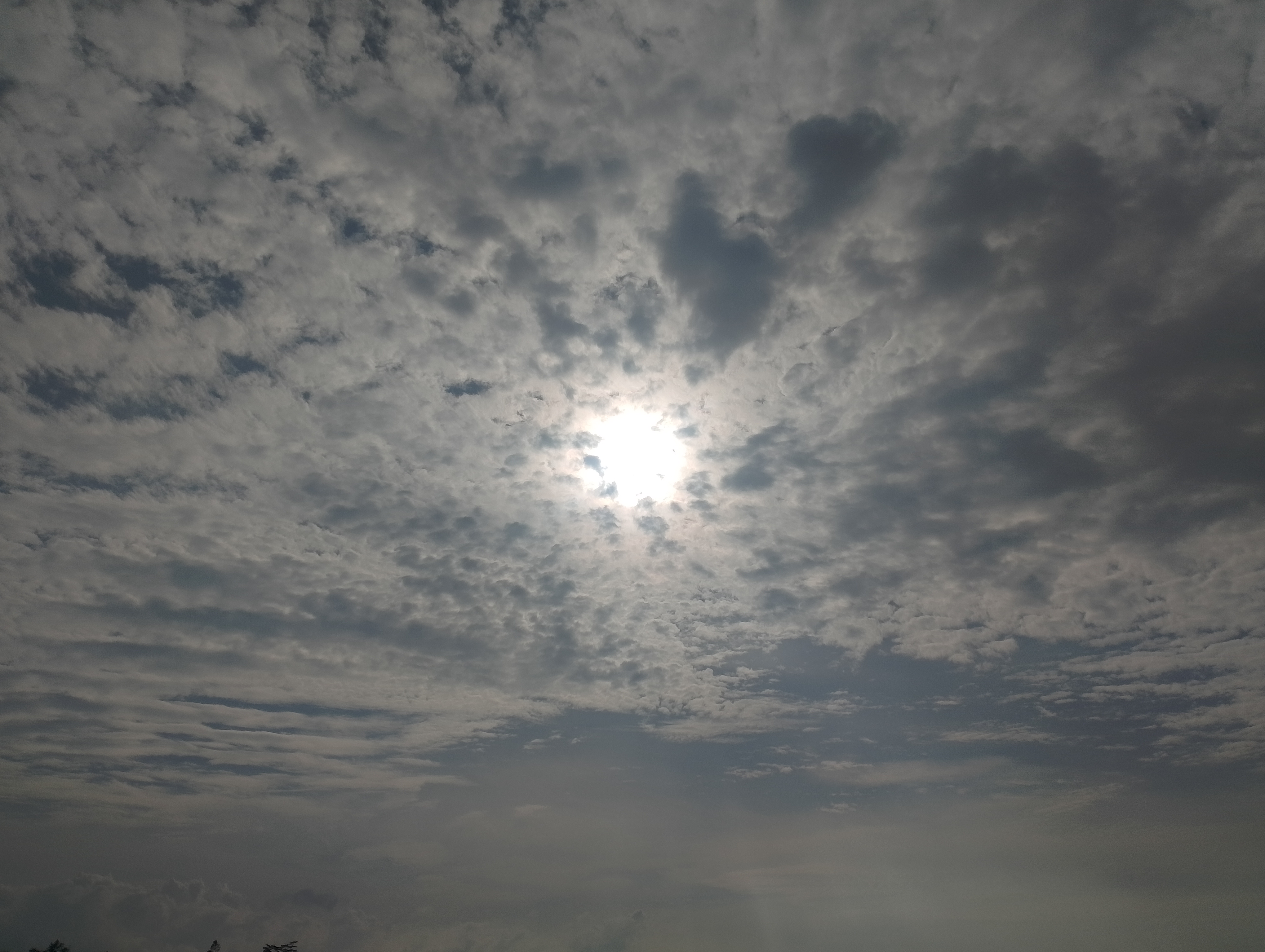 IMG_20250703_163520.jpg