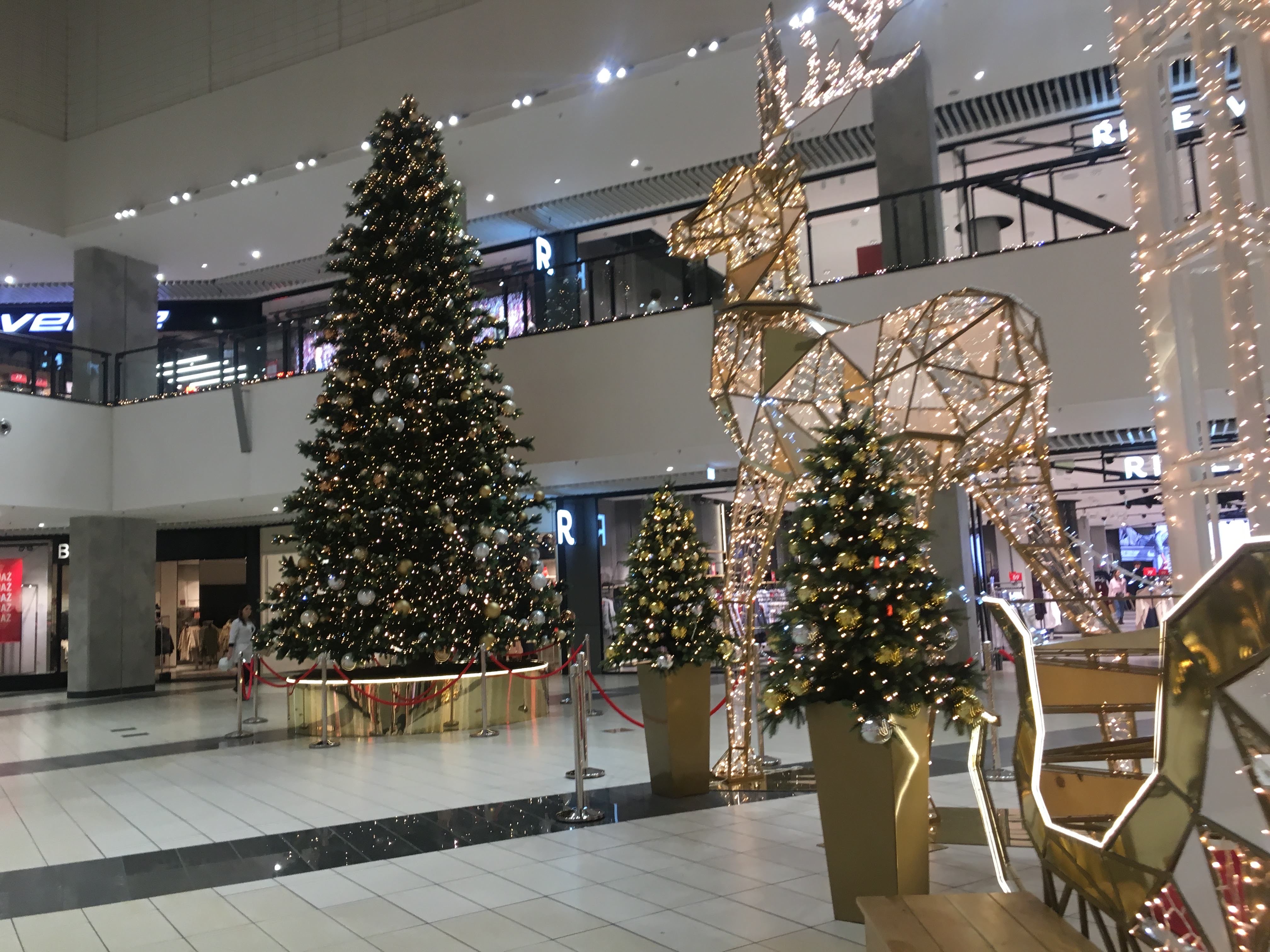 D890D415-271C-4F35-8C00-534D92FBCBE3.jpeg