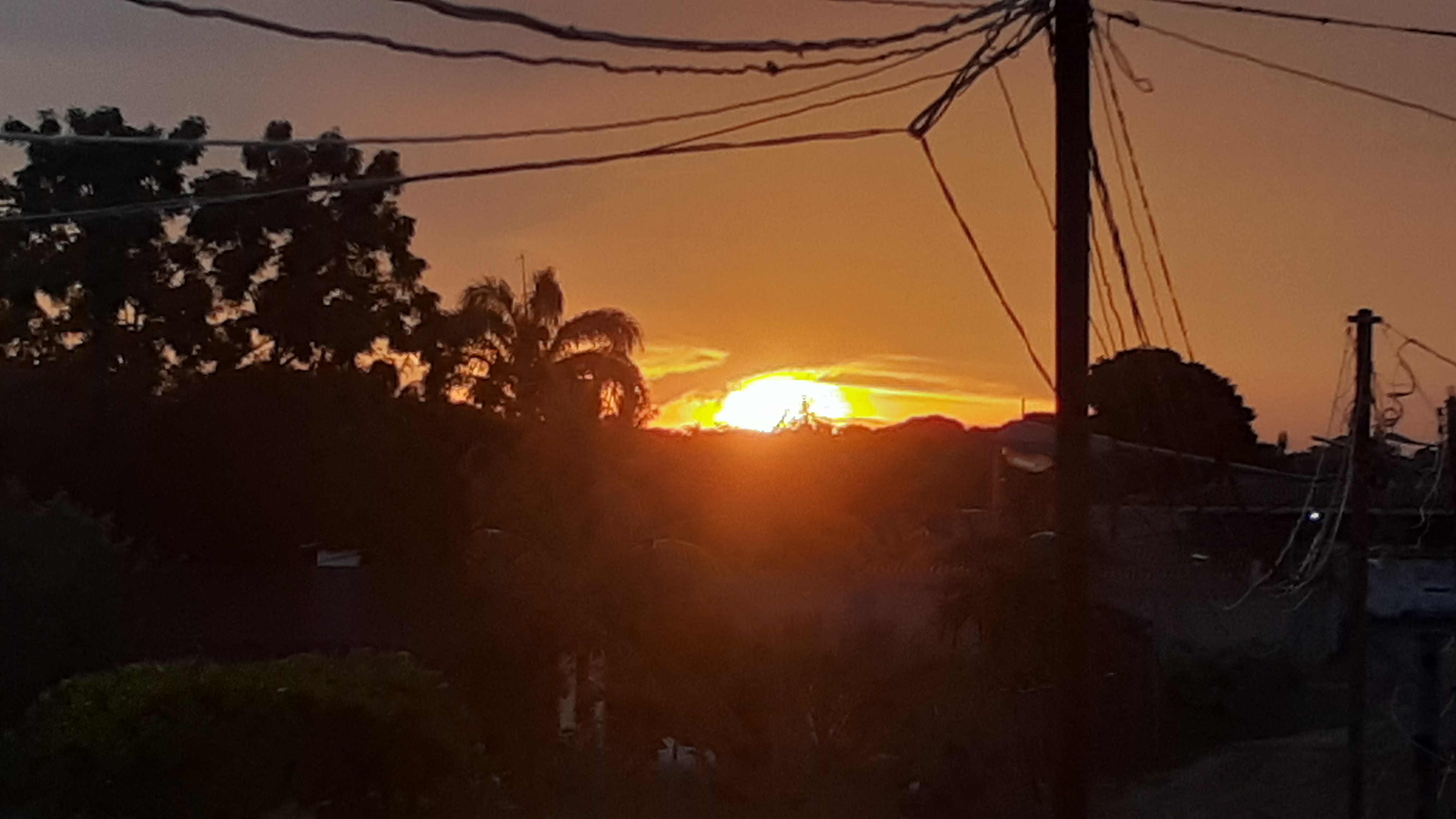 20221017_175931.jpg