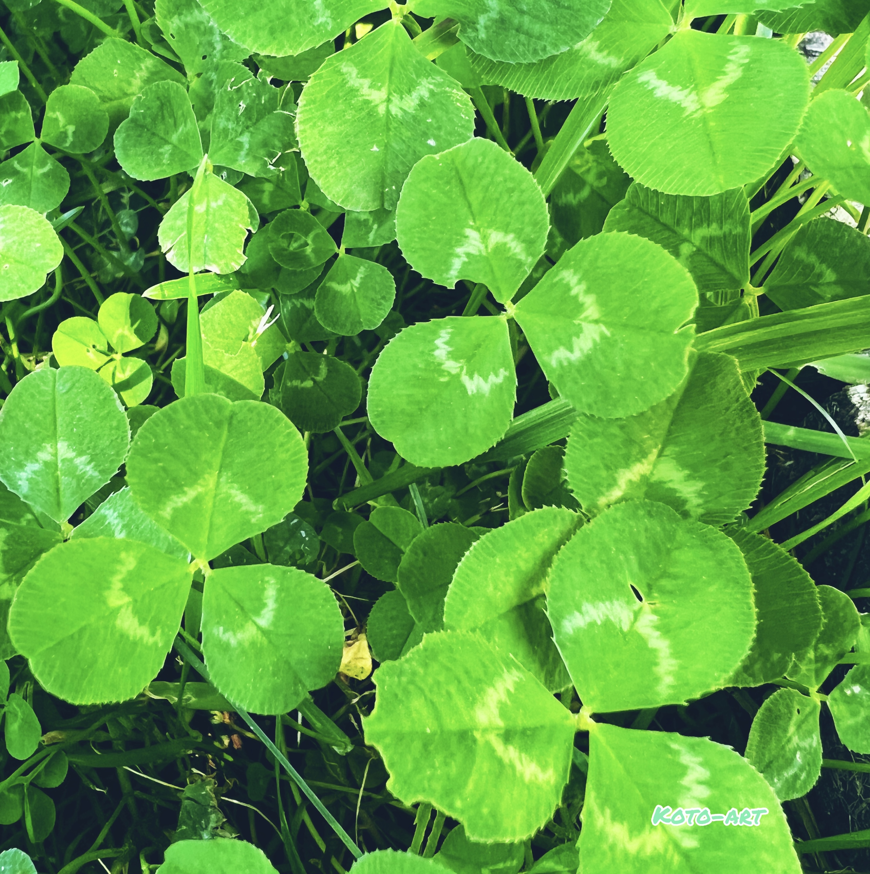 A714E05A-7985-43F4-881B-78B5553DF0F5.jpeg