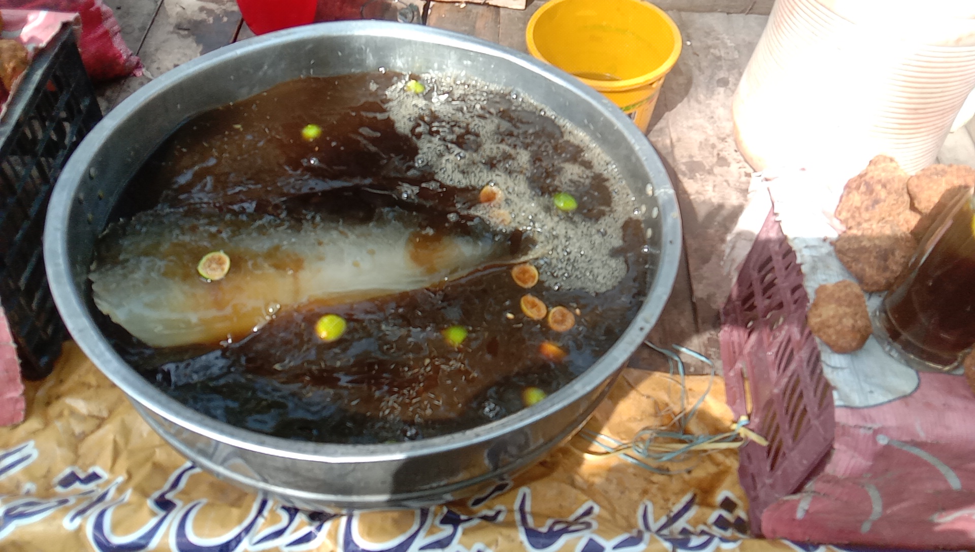 IMG_20250528_083913.jpg