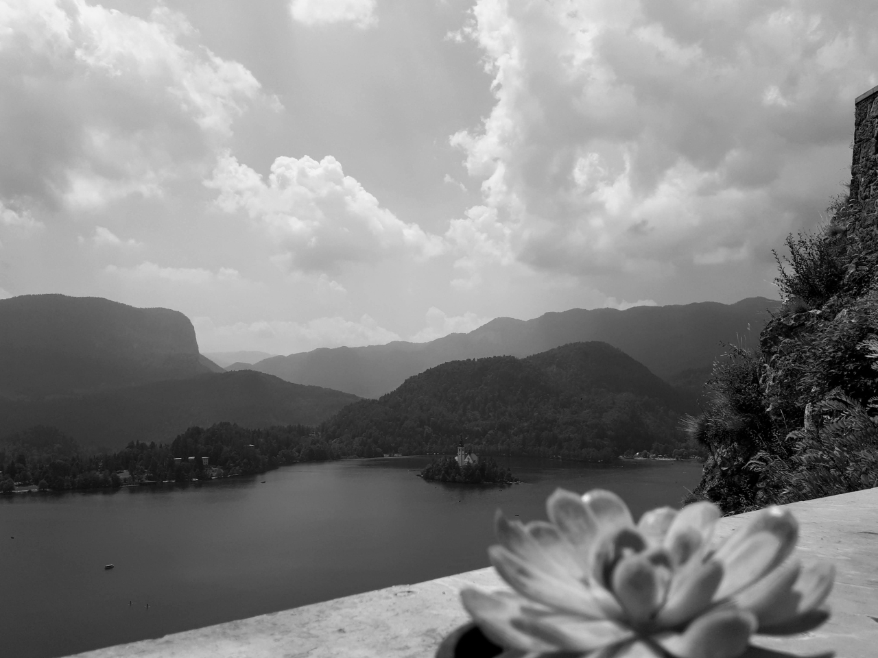 20190706_131028_bw.jpg