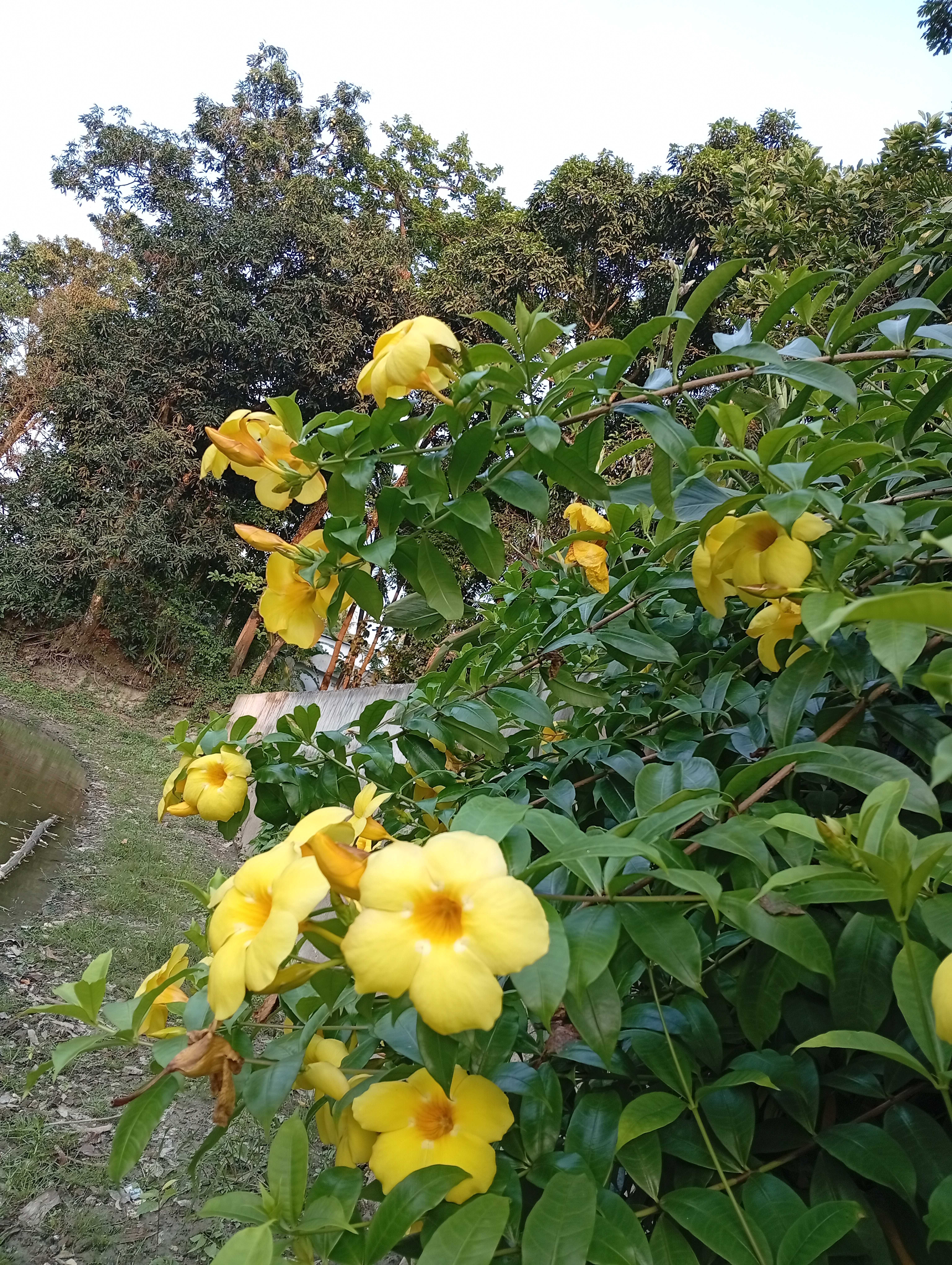 IMG_20250505_173039.jpg