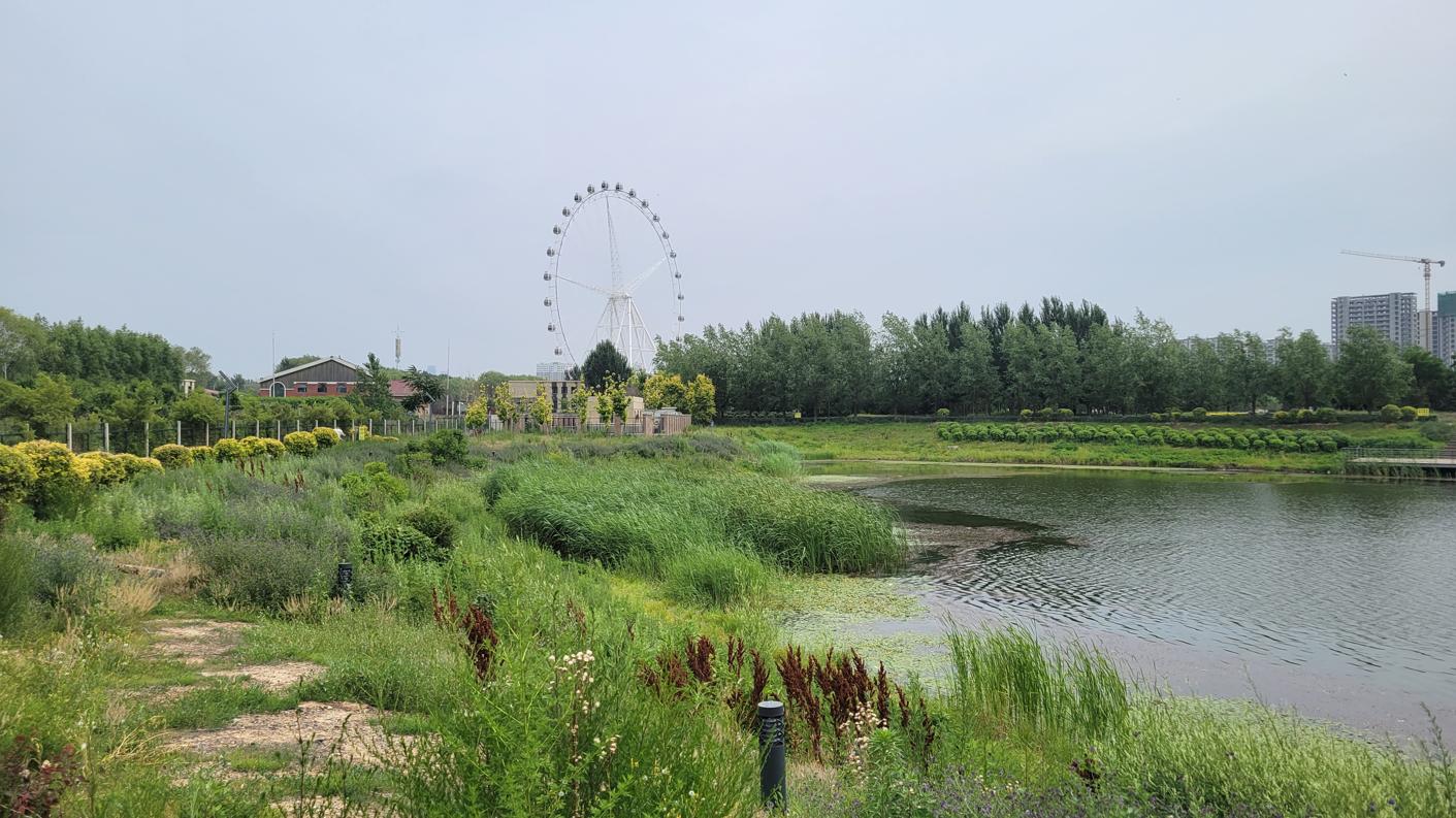 20240621_134820.jpg