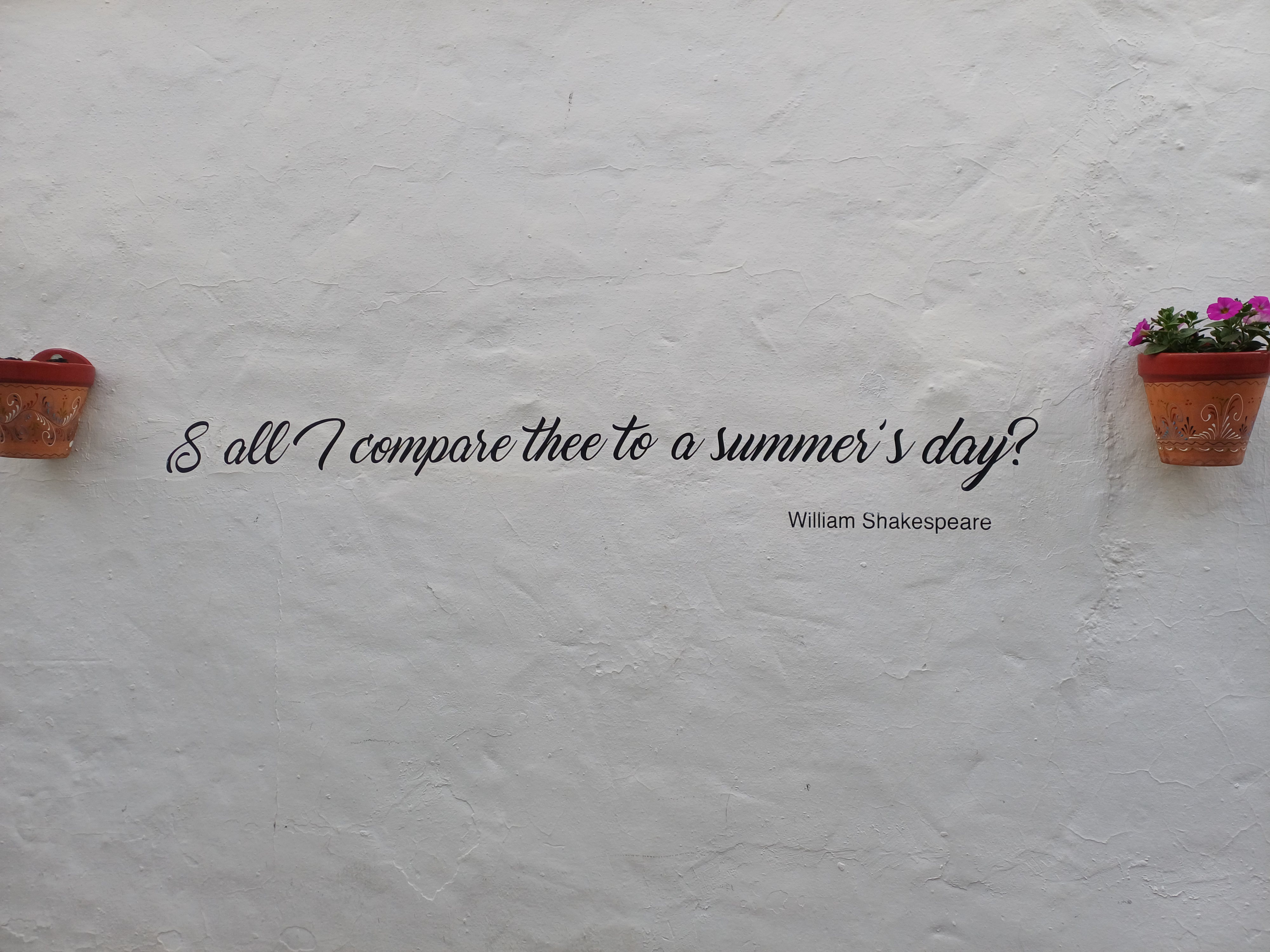 20250610_202414.jpg