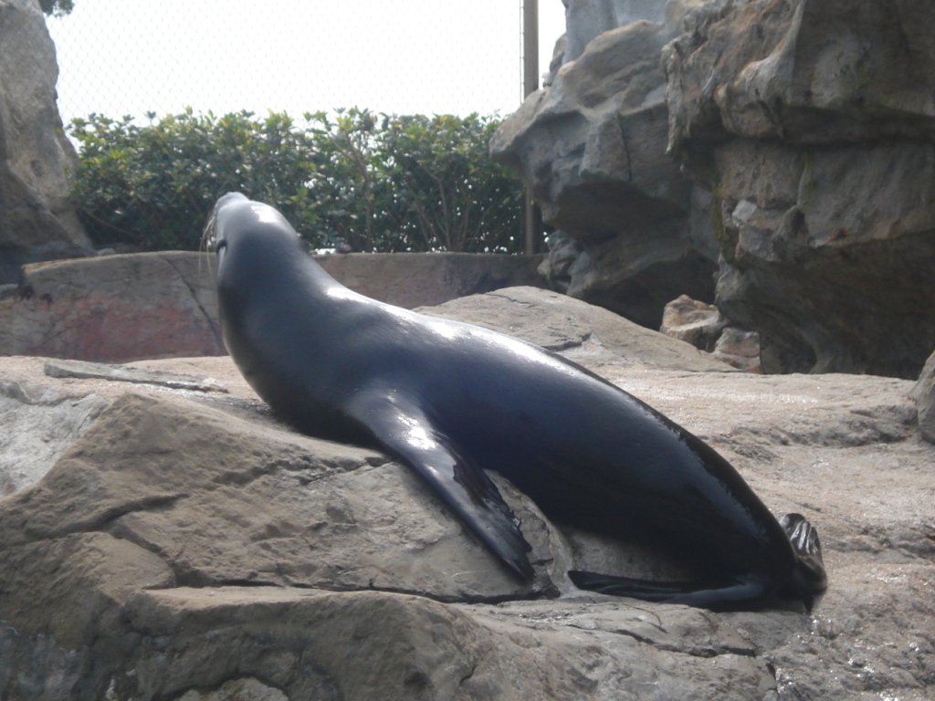 DSC04683.JPG