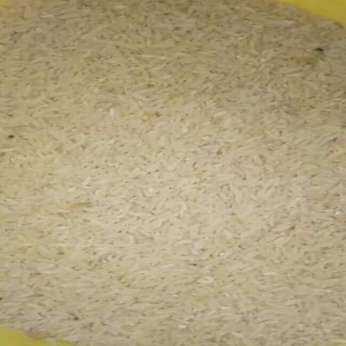 arroz 500.500.jpg