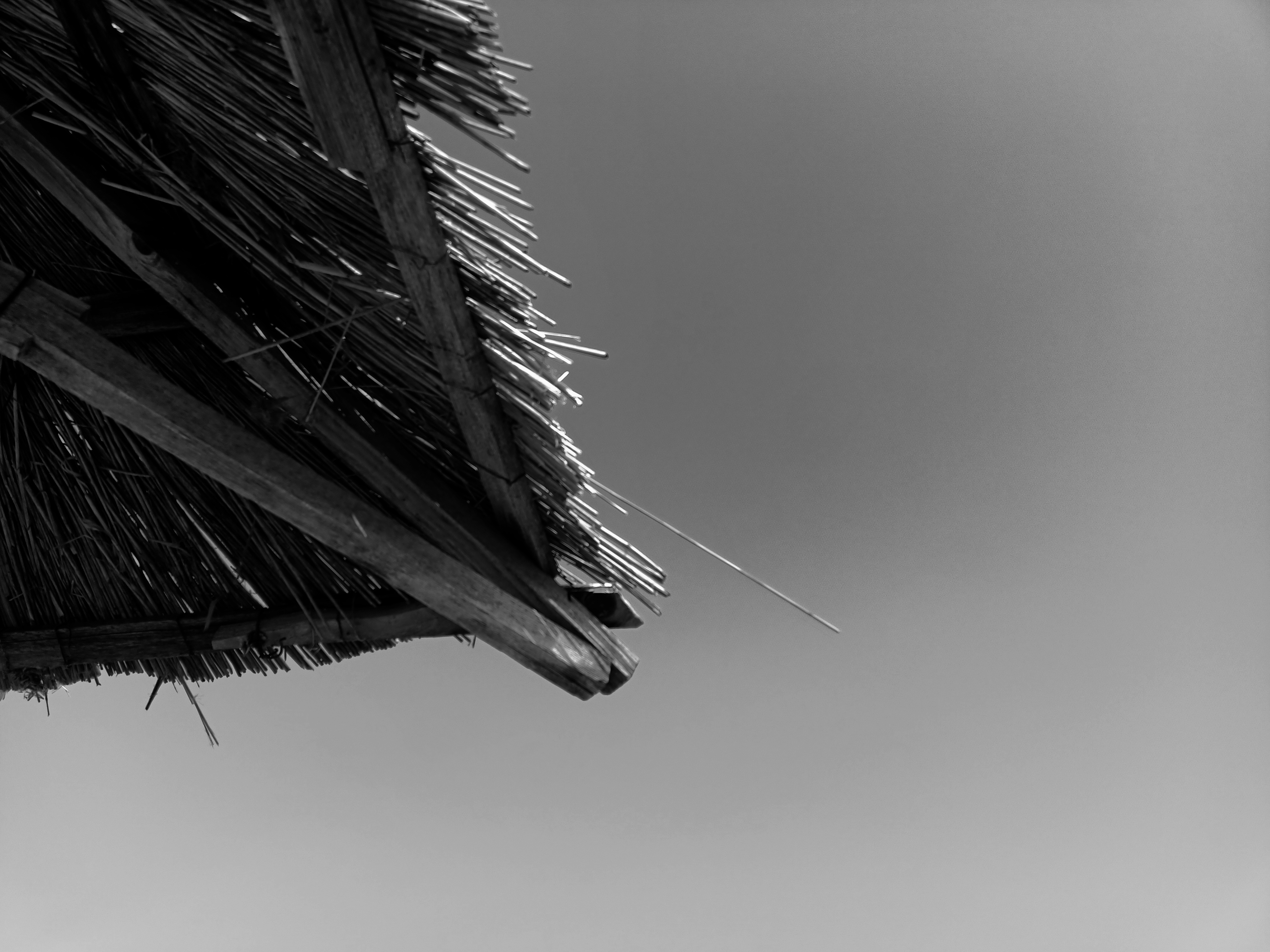 IMG20210829155914-01.jpeg