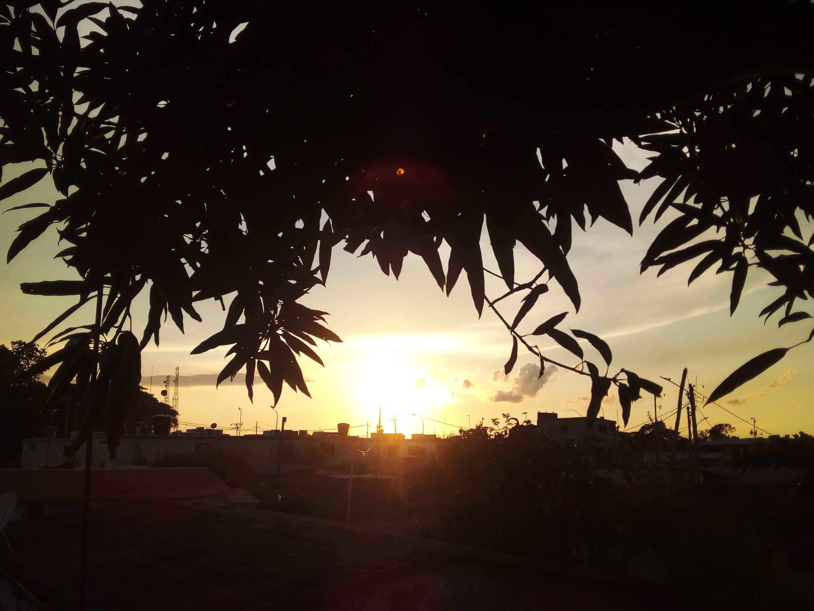 20220824_183930.jpg