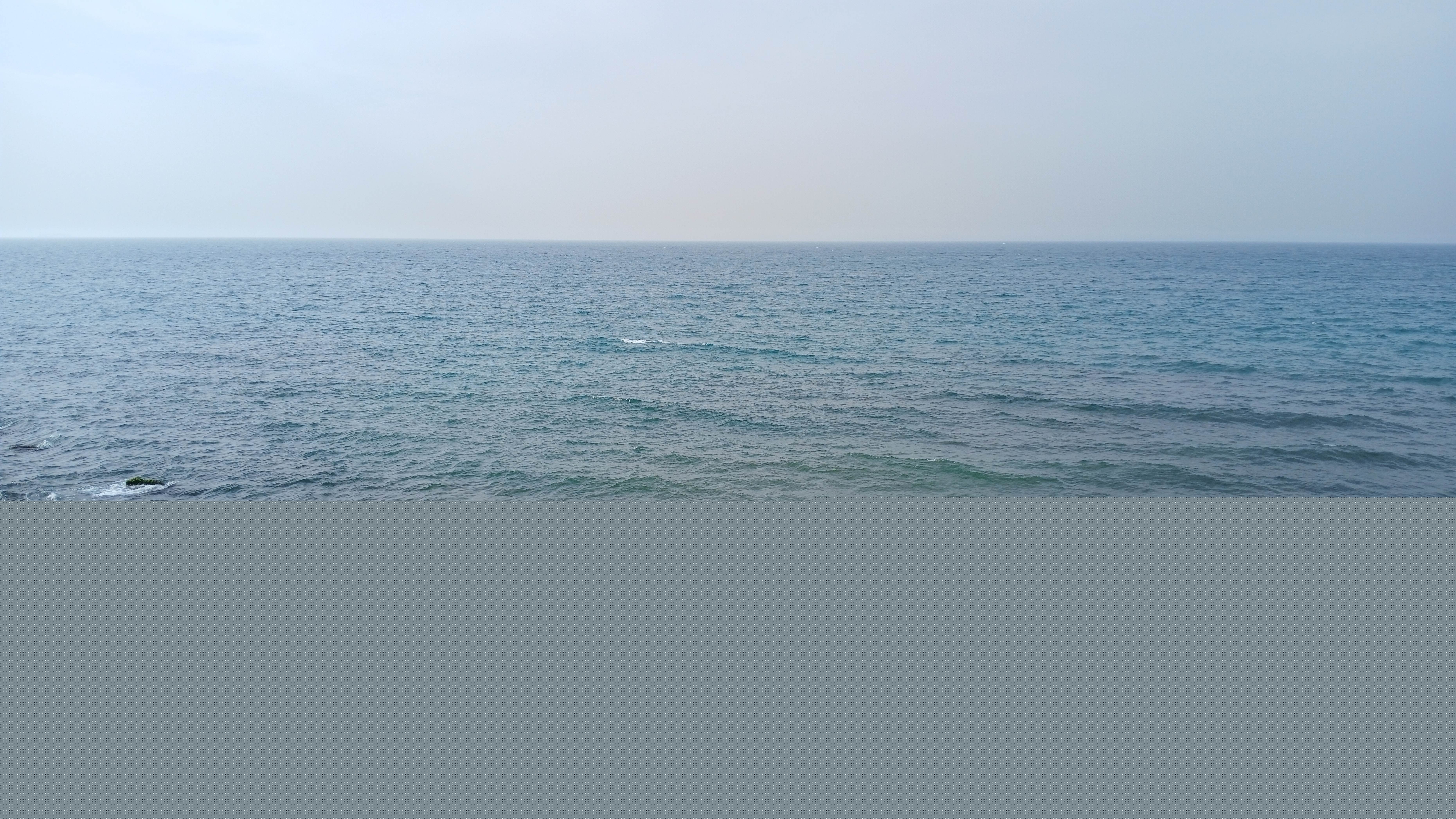 1000101034.jpg