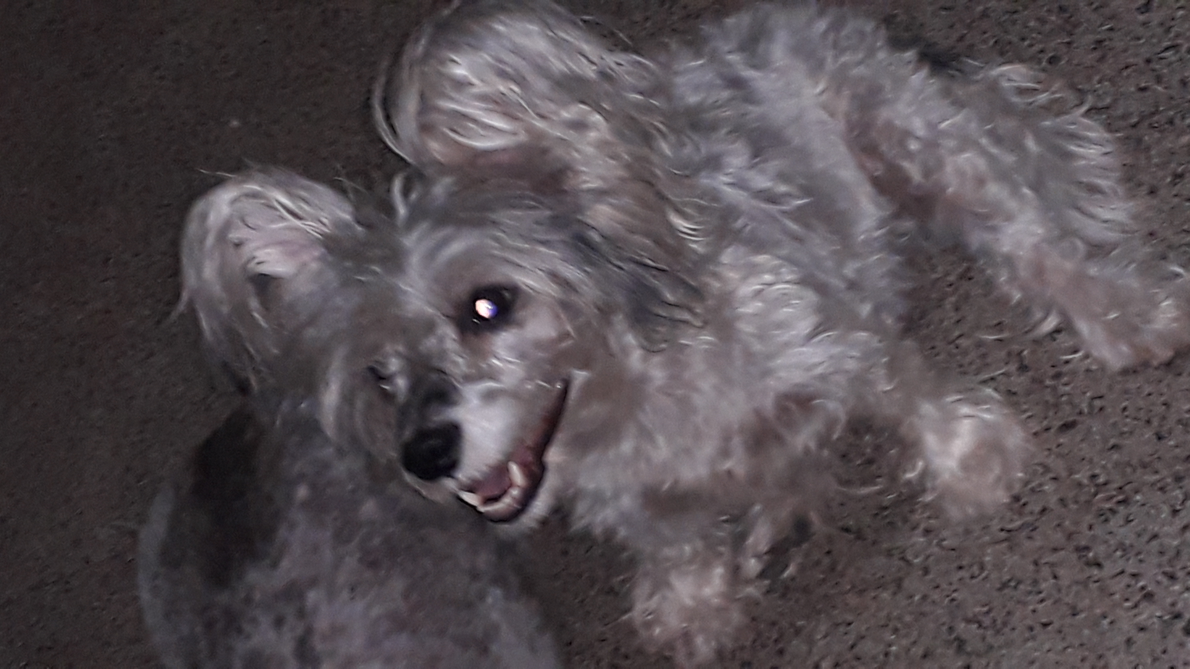 20210811_195133.jpg