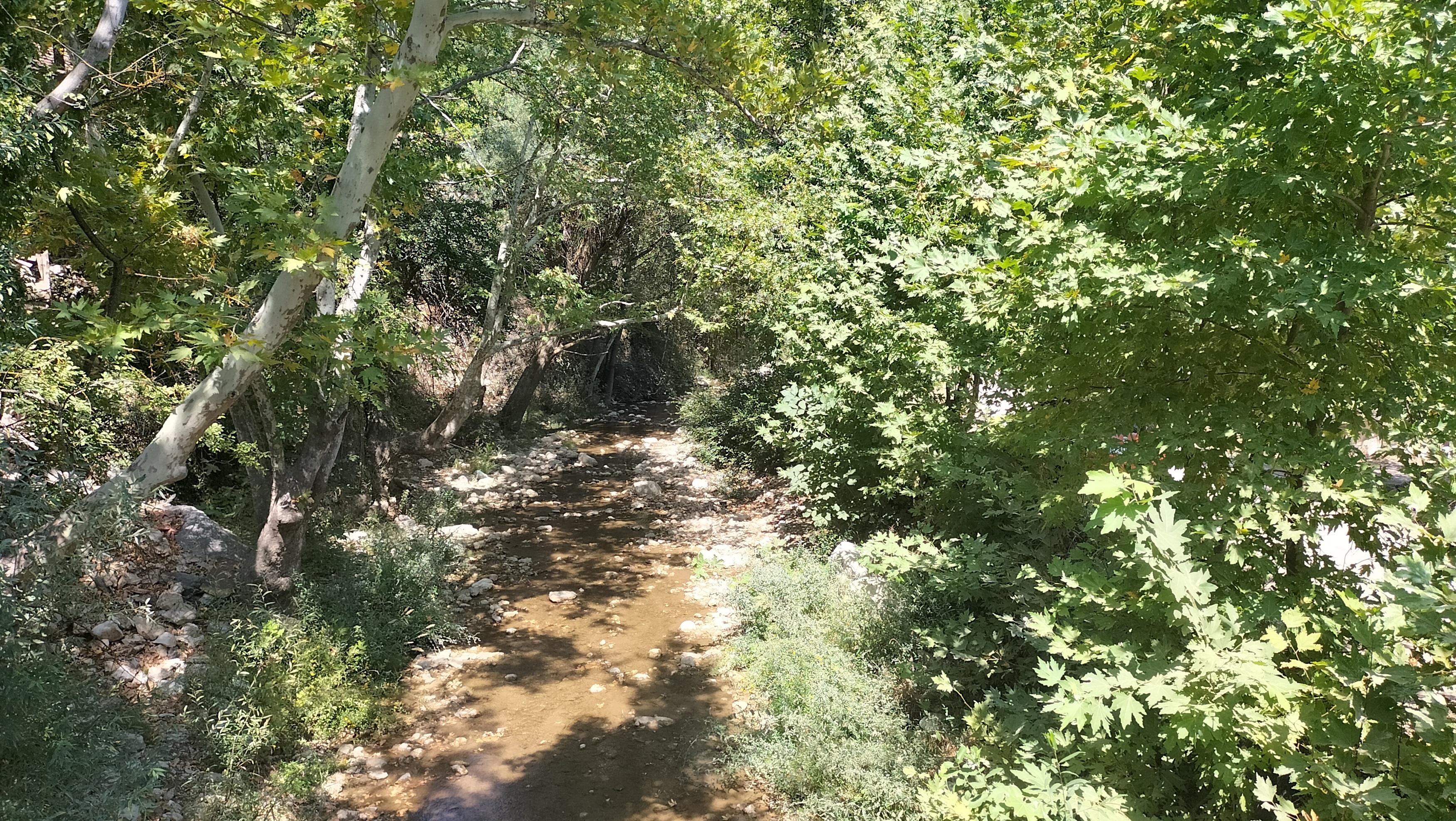 IMG20250831132700.jpg