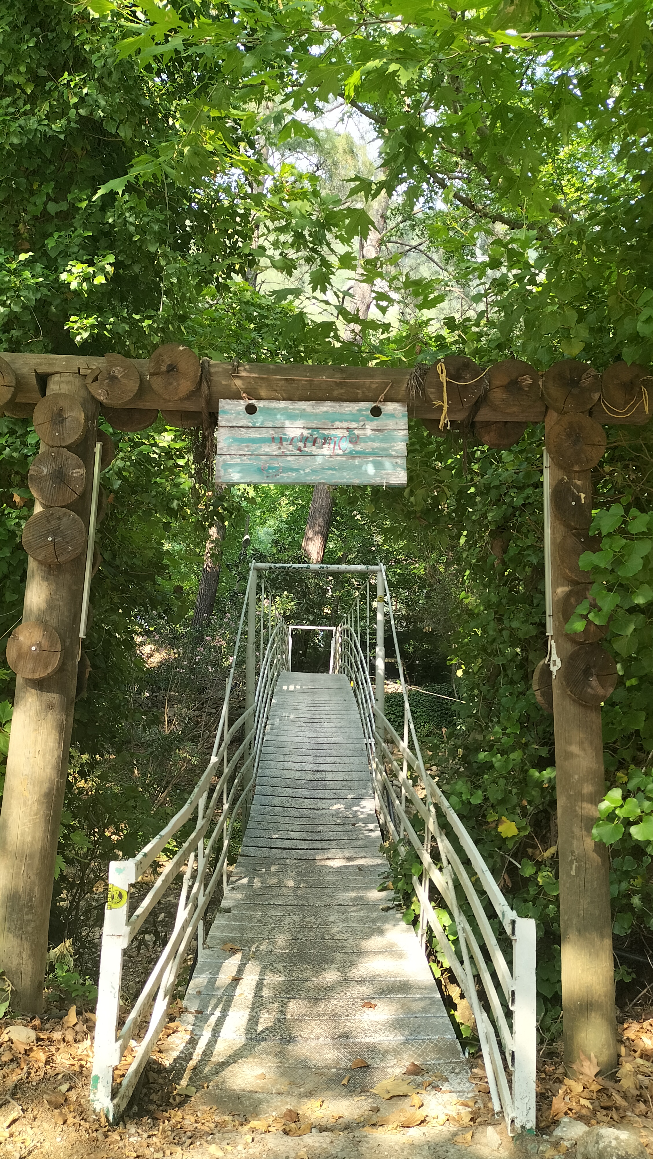 IMG20250614165725.jpg