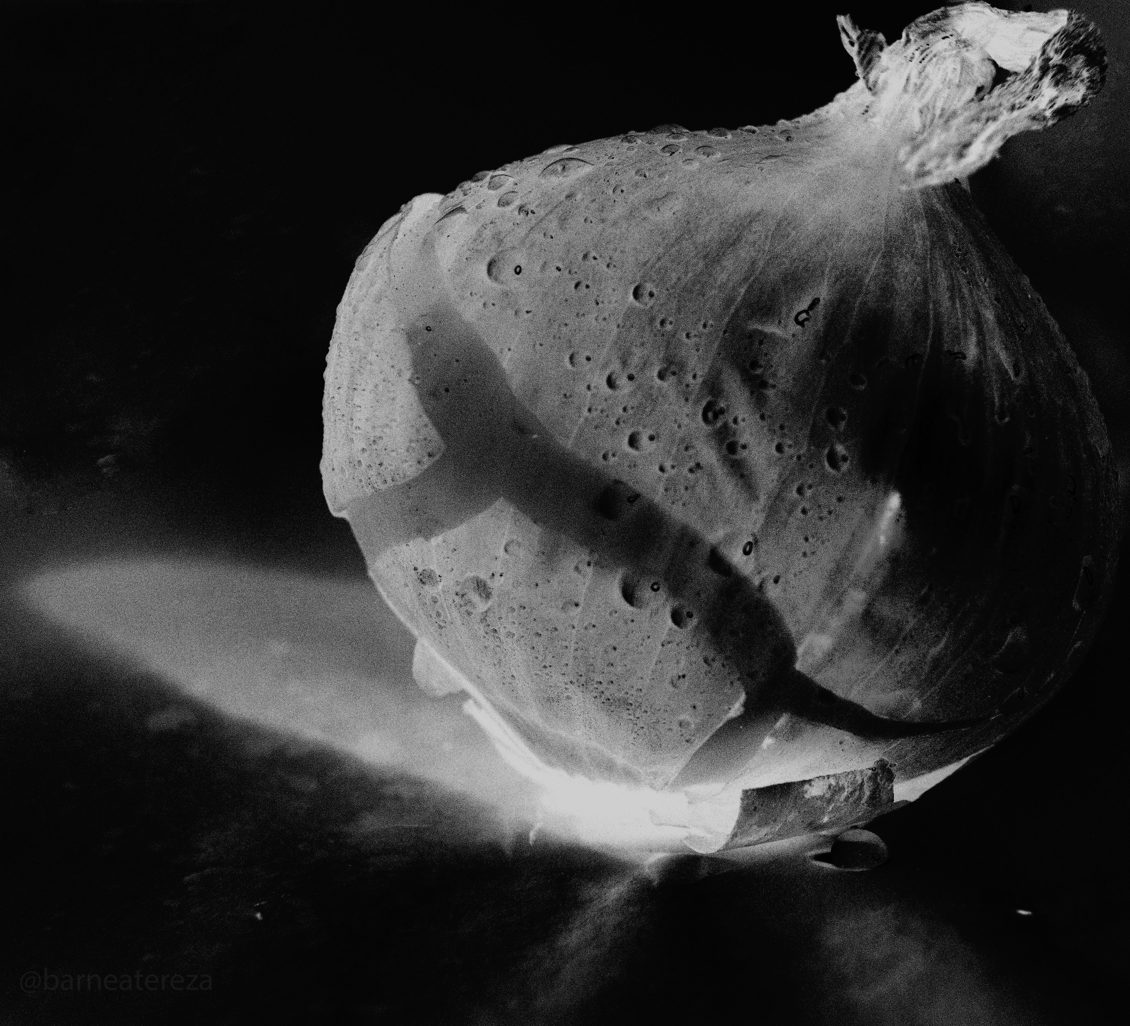 radiography of an onion_result.jpg