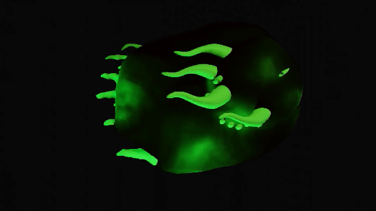 curse4.gif