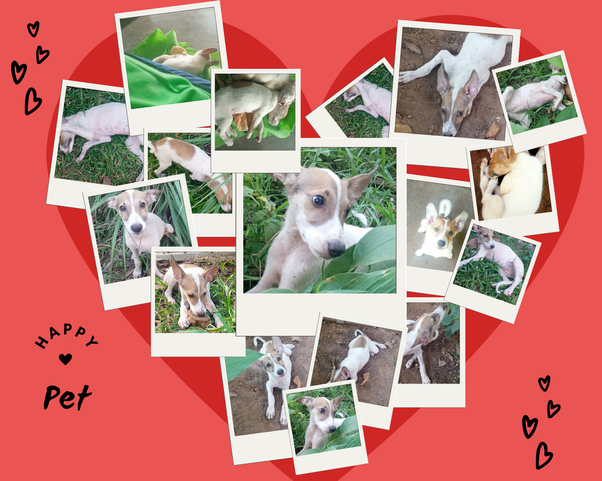 Red Cute Love Heart Valentine Day Photo Collage.png