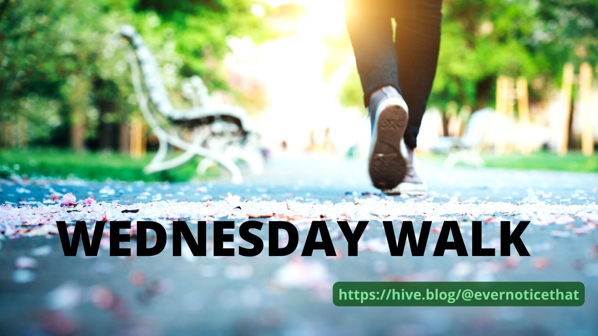 wednesday-walk-walking-hiking-nature-flowers-photography-photos-hive-blog @EverNoticeThat.jpg