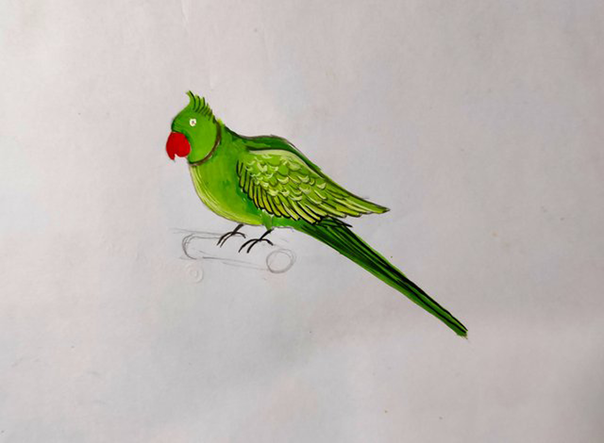 Simple stroke cut out parrot Royalty Free Vector Image