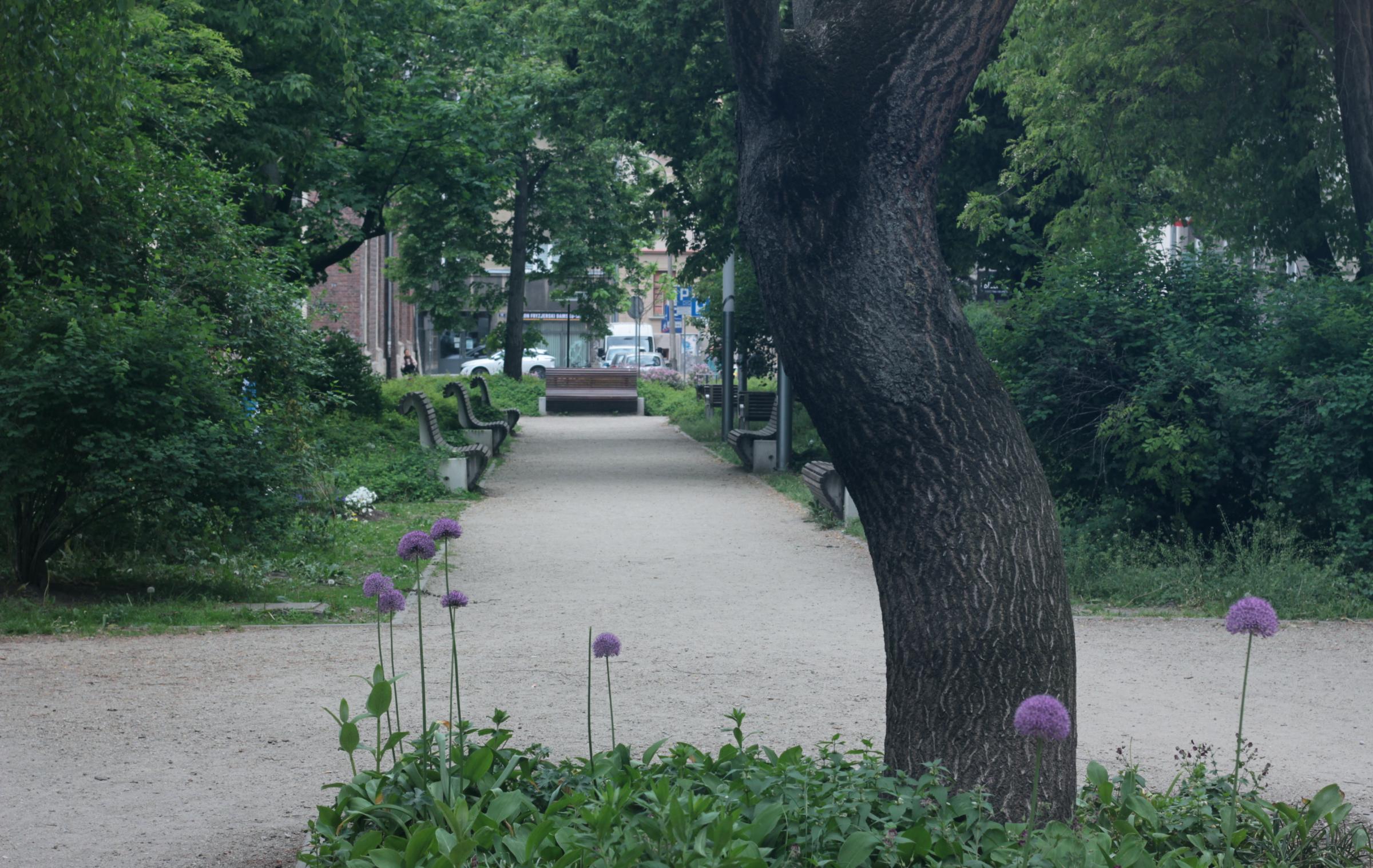 IMG_7150-crop.JPG