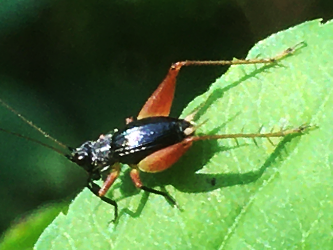 IMG_8824s.png