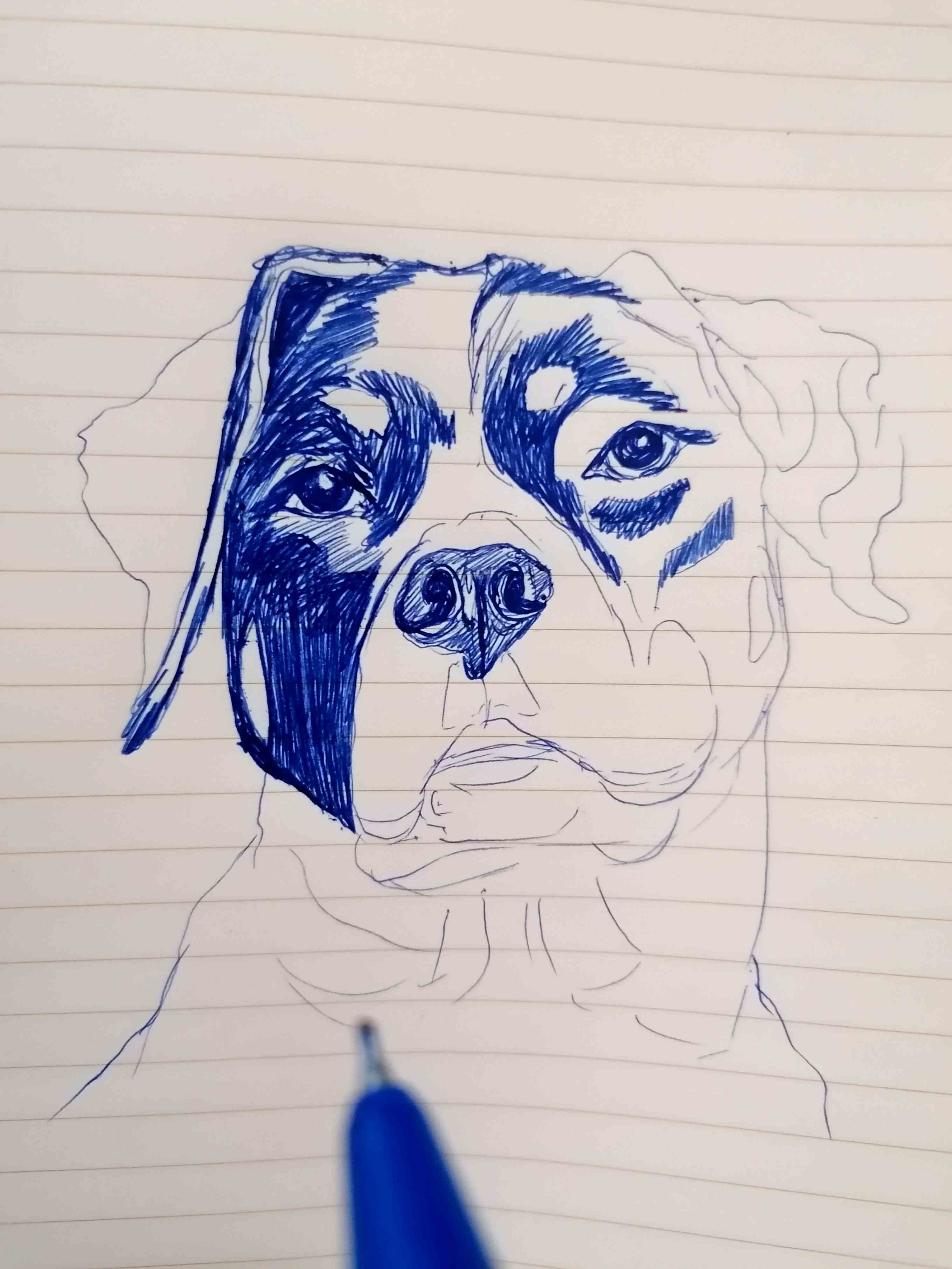 765650861928515789.jpg