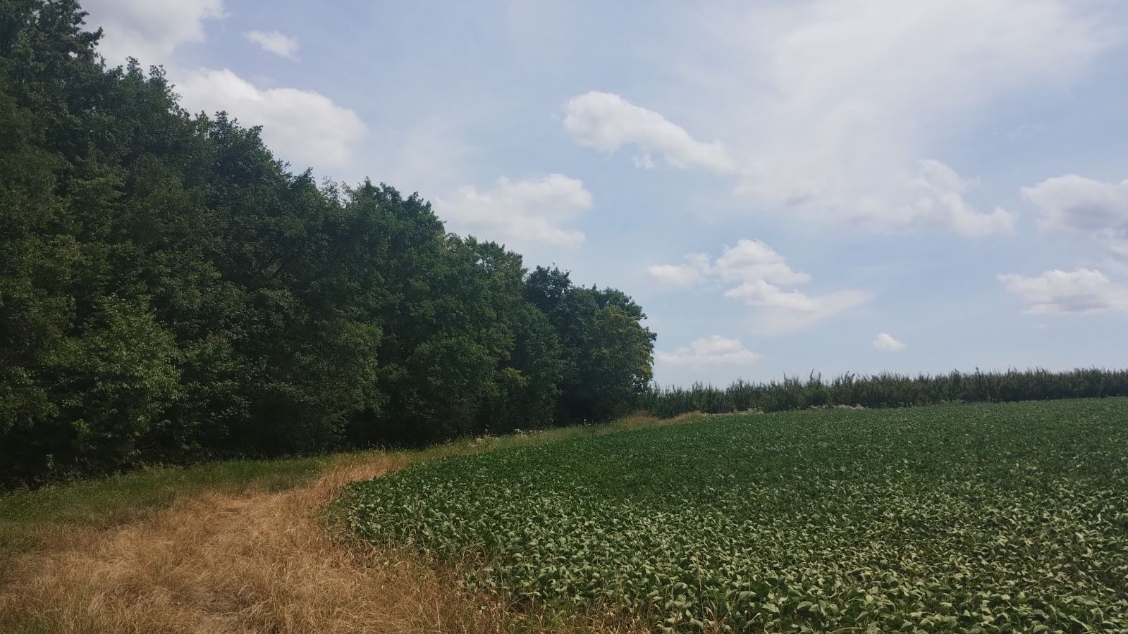 зображення_viber_2025-07-06_13-44-04-631.jpg