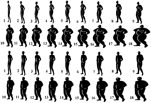 Body images_for_obesity Ettarh R et al.jpg