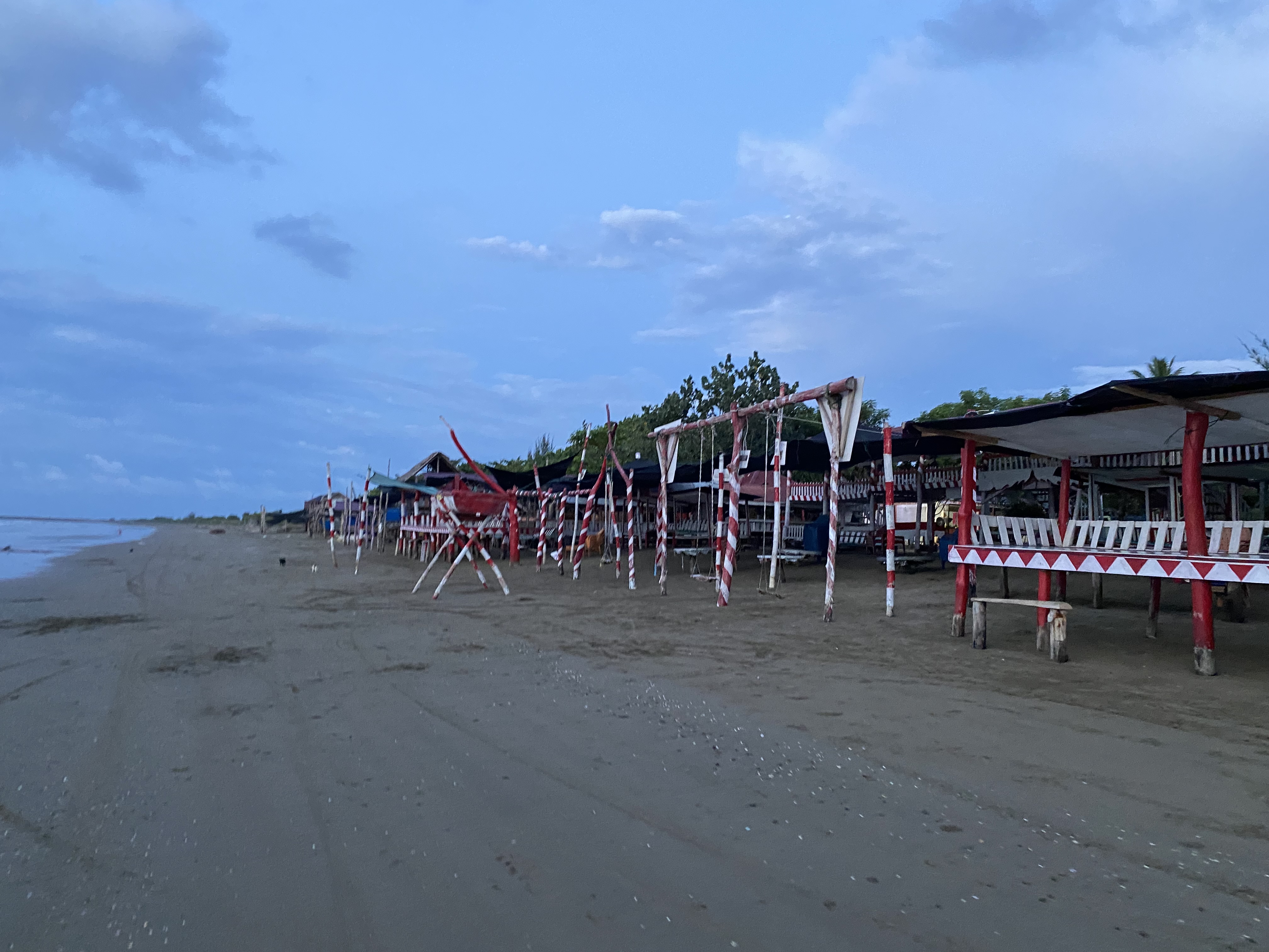 IMG_0214.jpeg