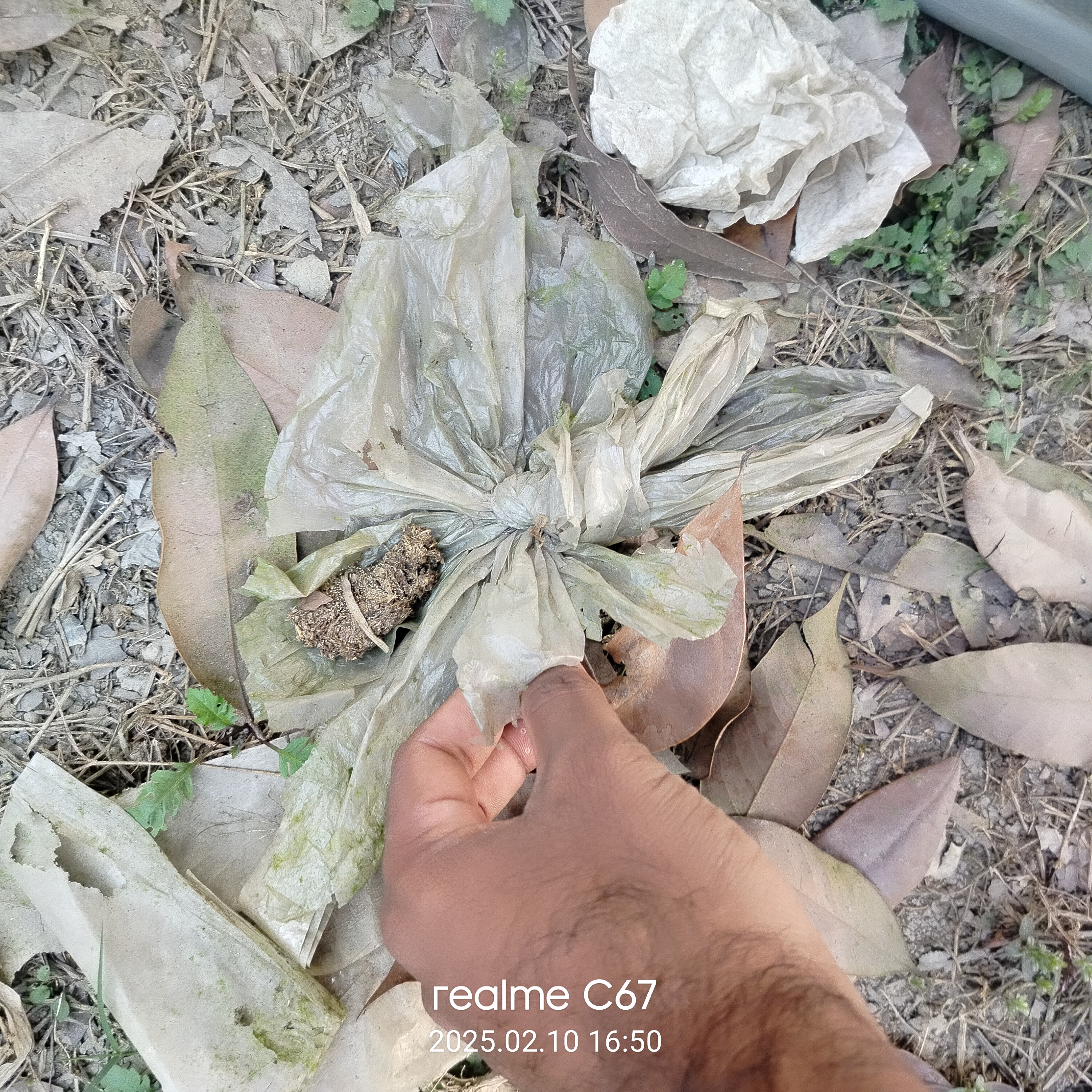 IMG20250210165040.jpg