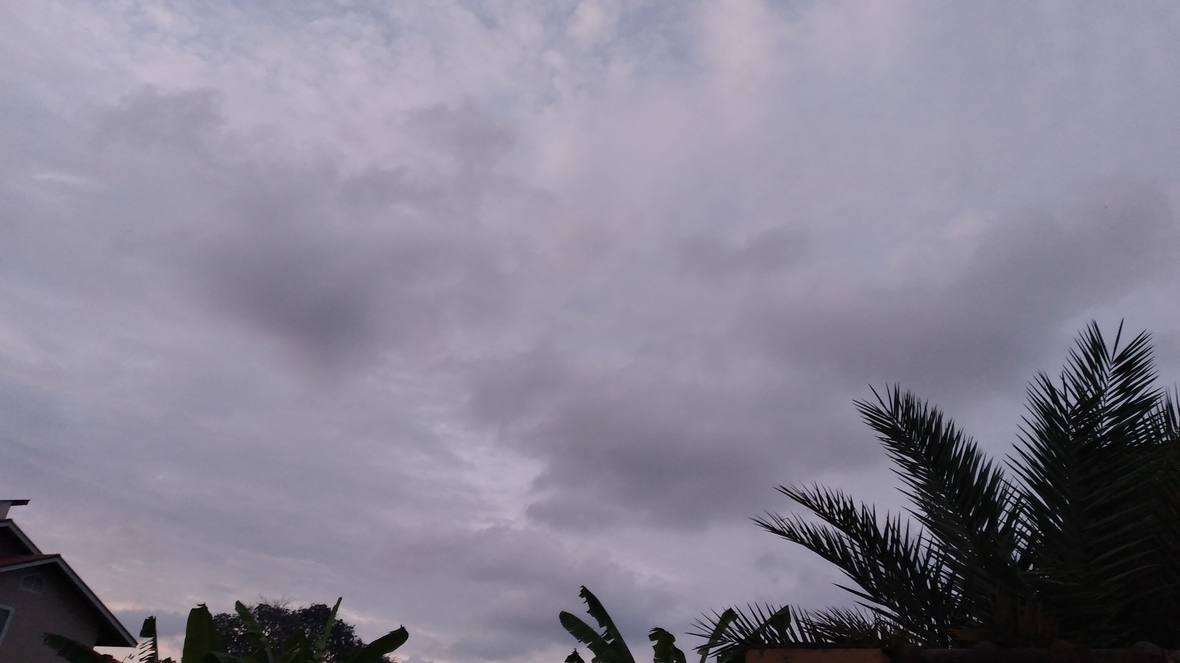 20220914_183745.jpg