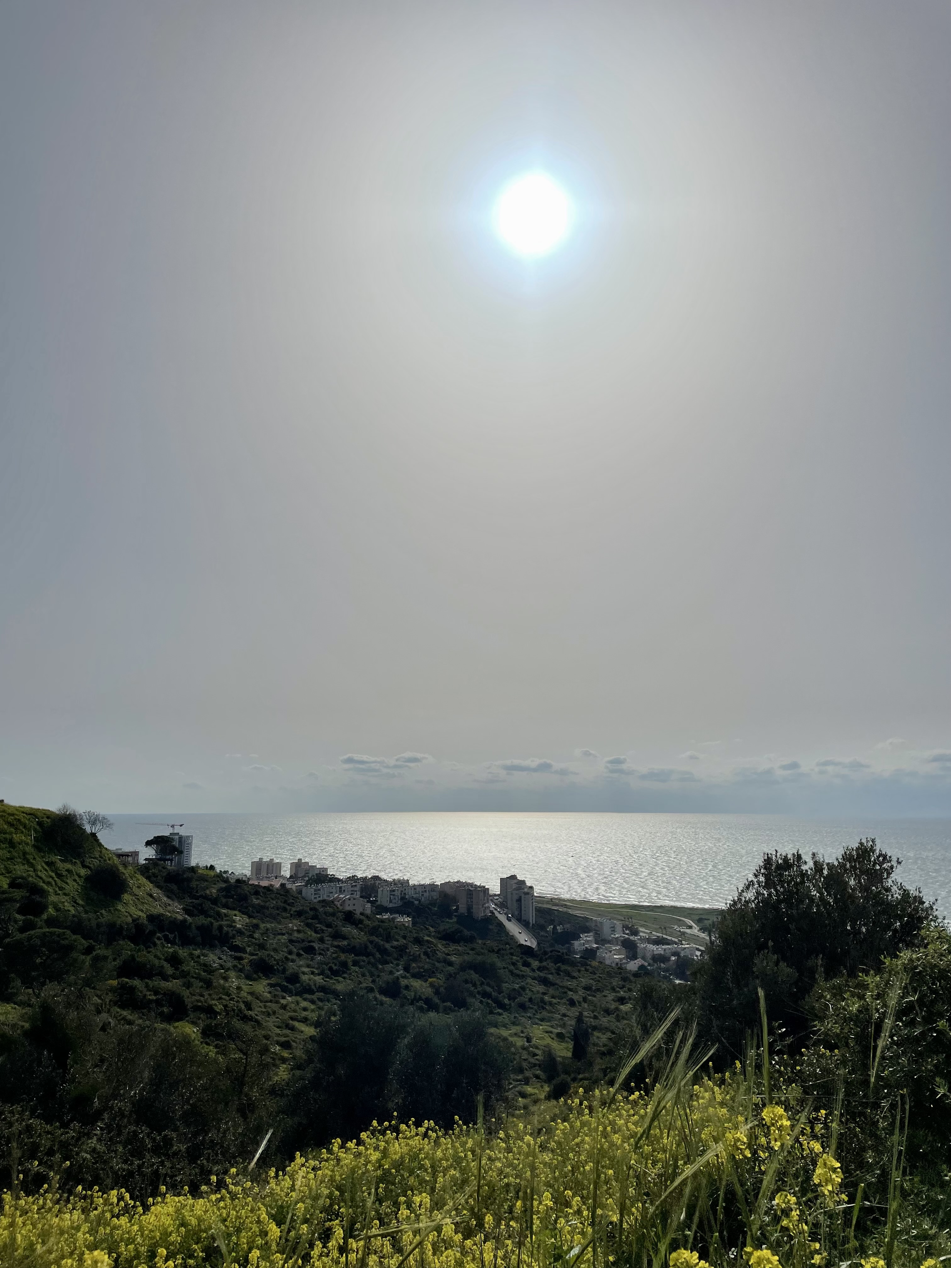 IMG-4286.jpg