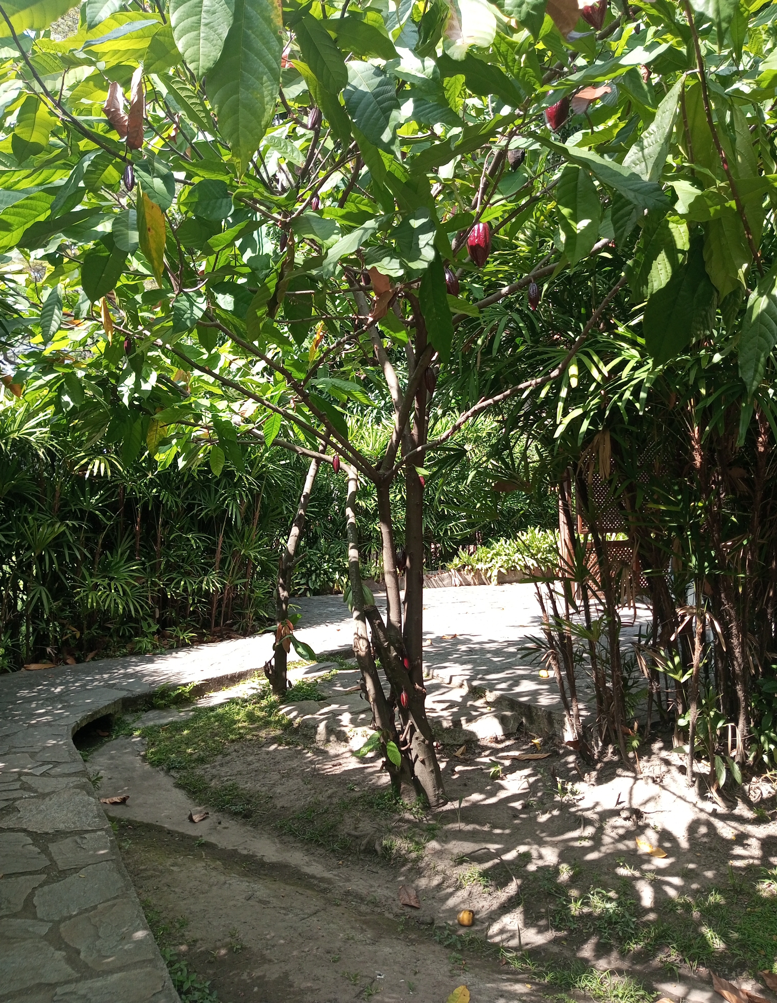 IMG_20250225_150143_892.jpg