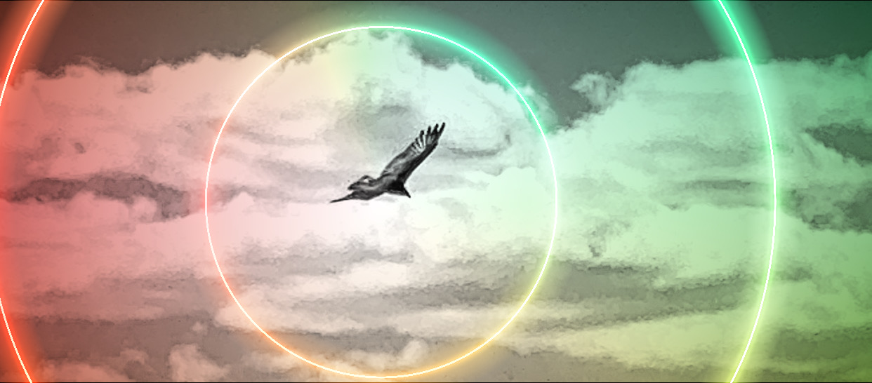 5260DDE1-AE0F-4ED7-A582-5C06C8858A29.jpeg