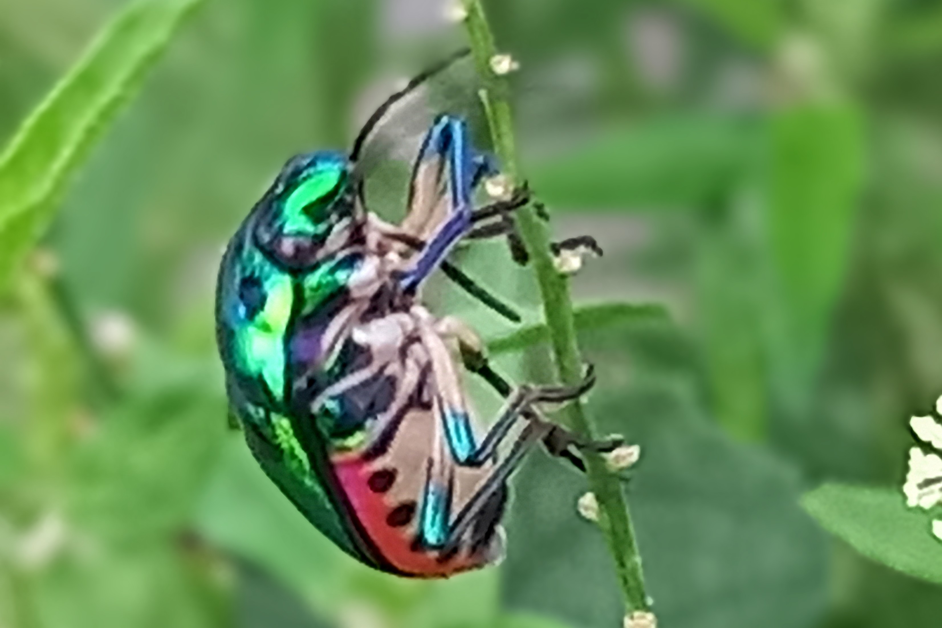 20250731_183640~2.jpg