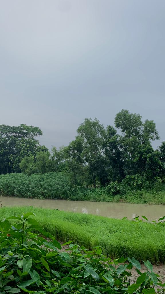 N8.jpg