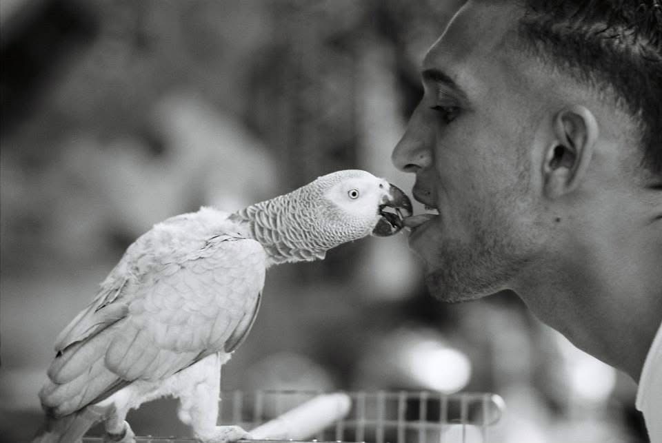 ‘Palestinian Man & His Bird’ Jerusalem / 35mm Pentax K1000