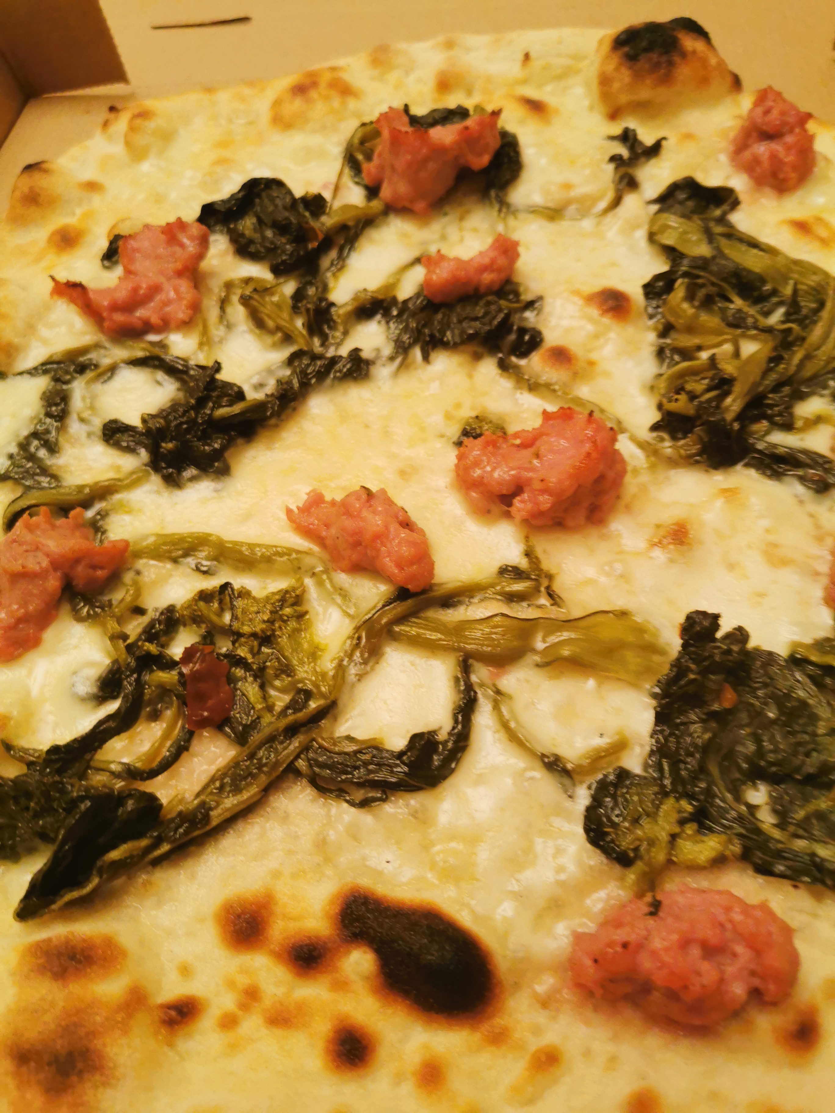 IMG_20220124_205035.jpg