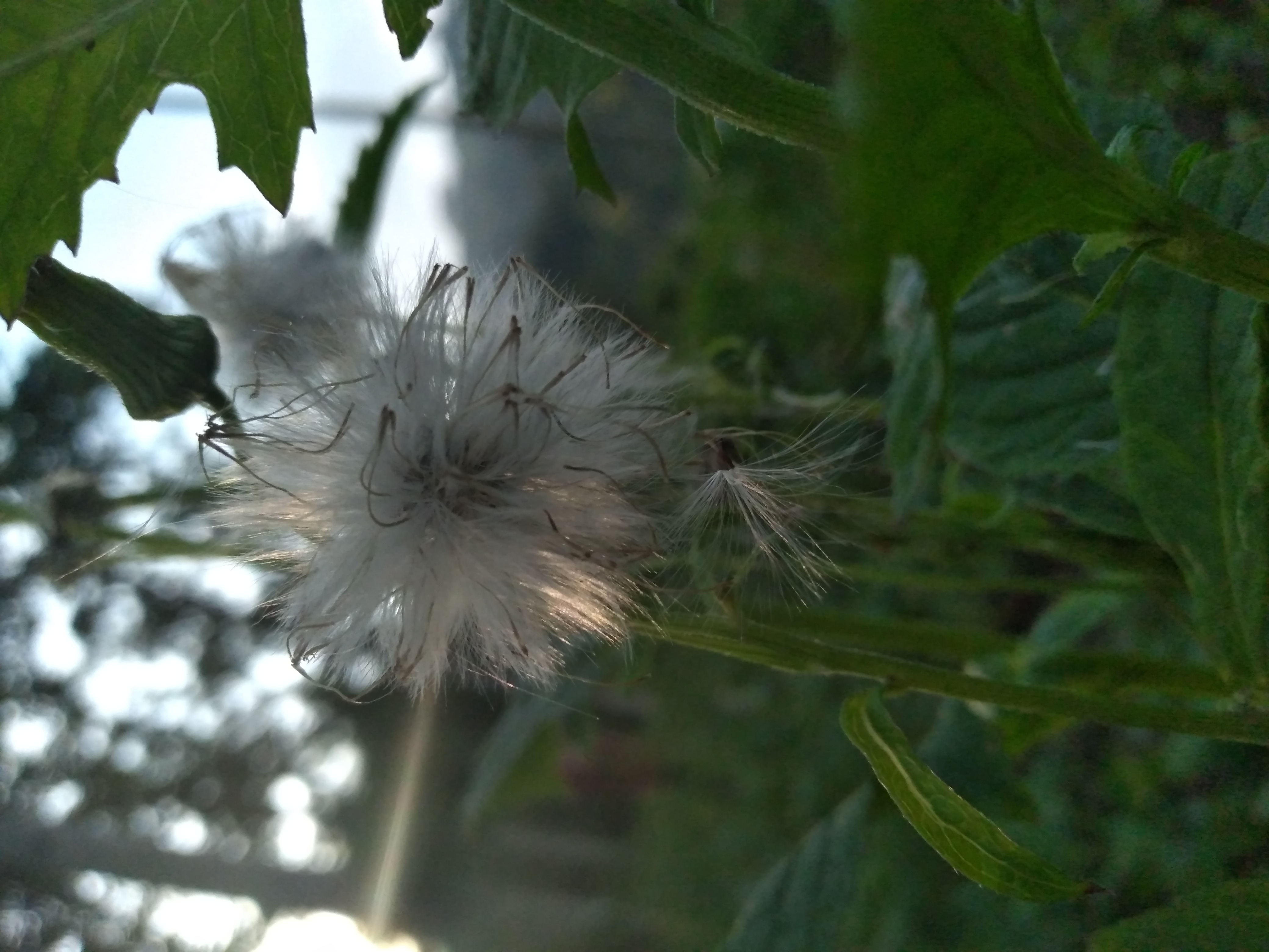 20200822_174302.jpg