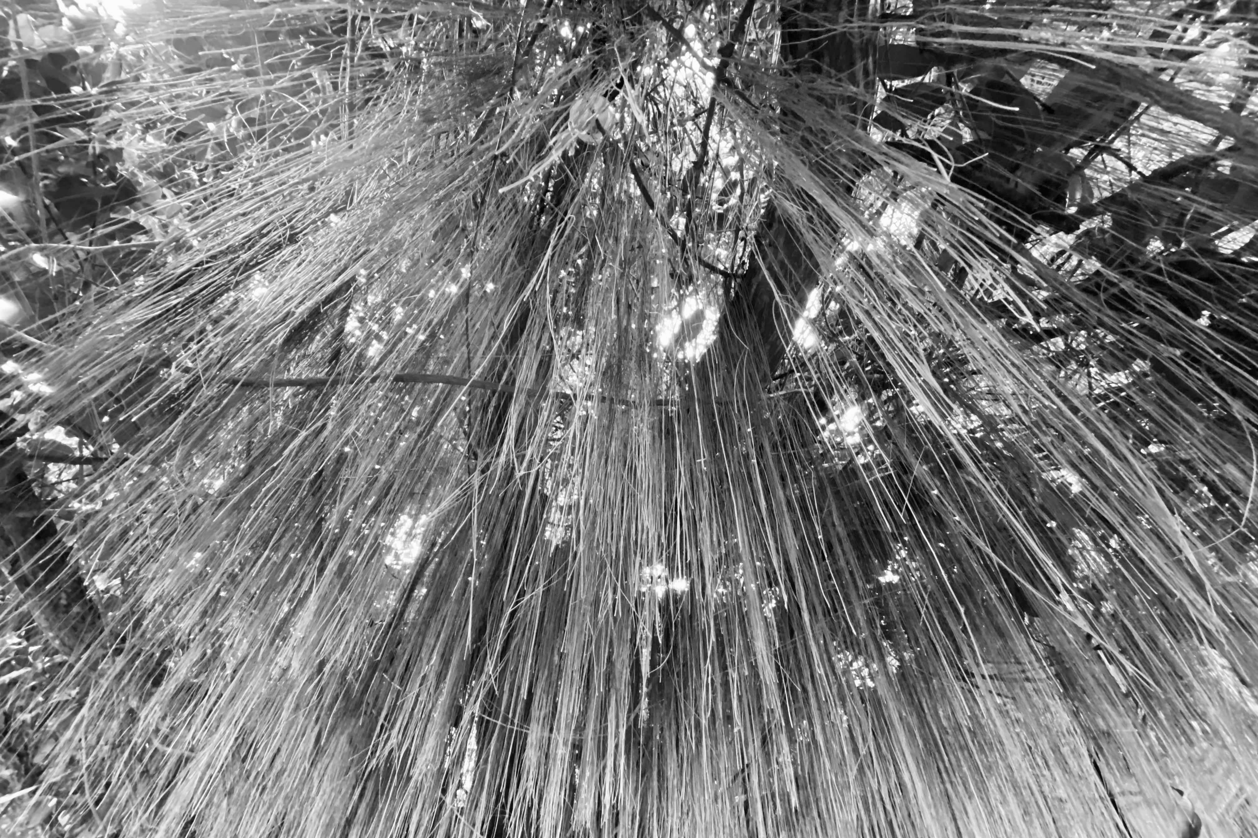 image00007-18-min.jpeg
