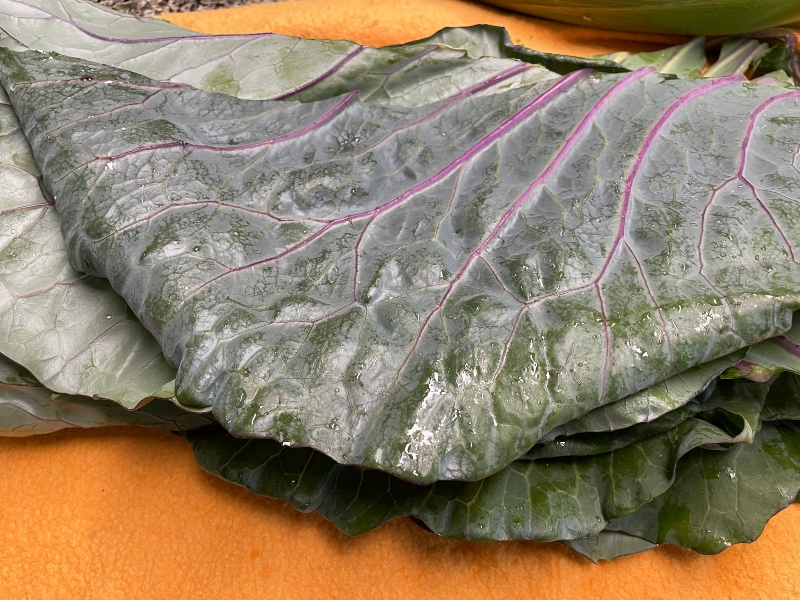 foodiesbeehive-dehydrating-cabbage-6.jpg