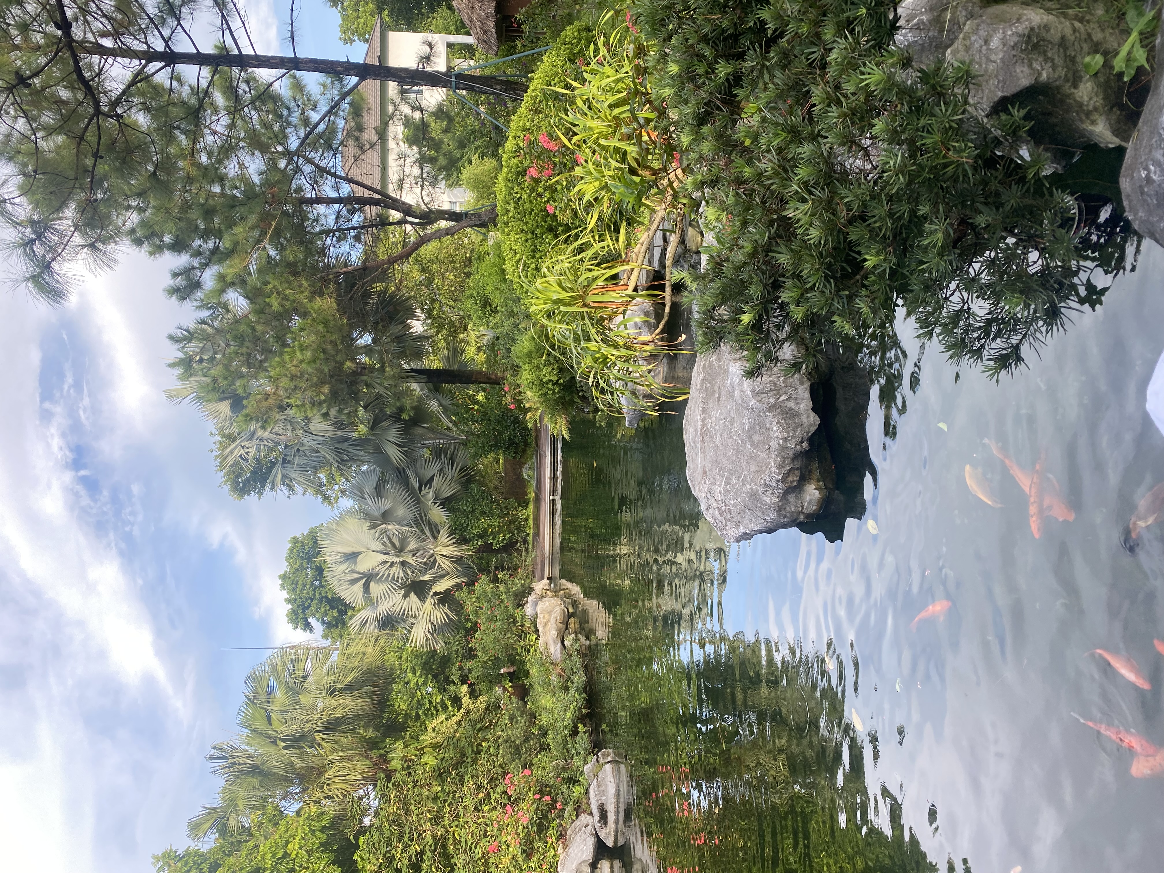 IMG_8440.jpeg
