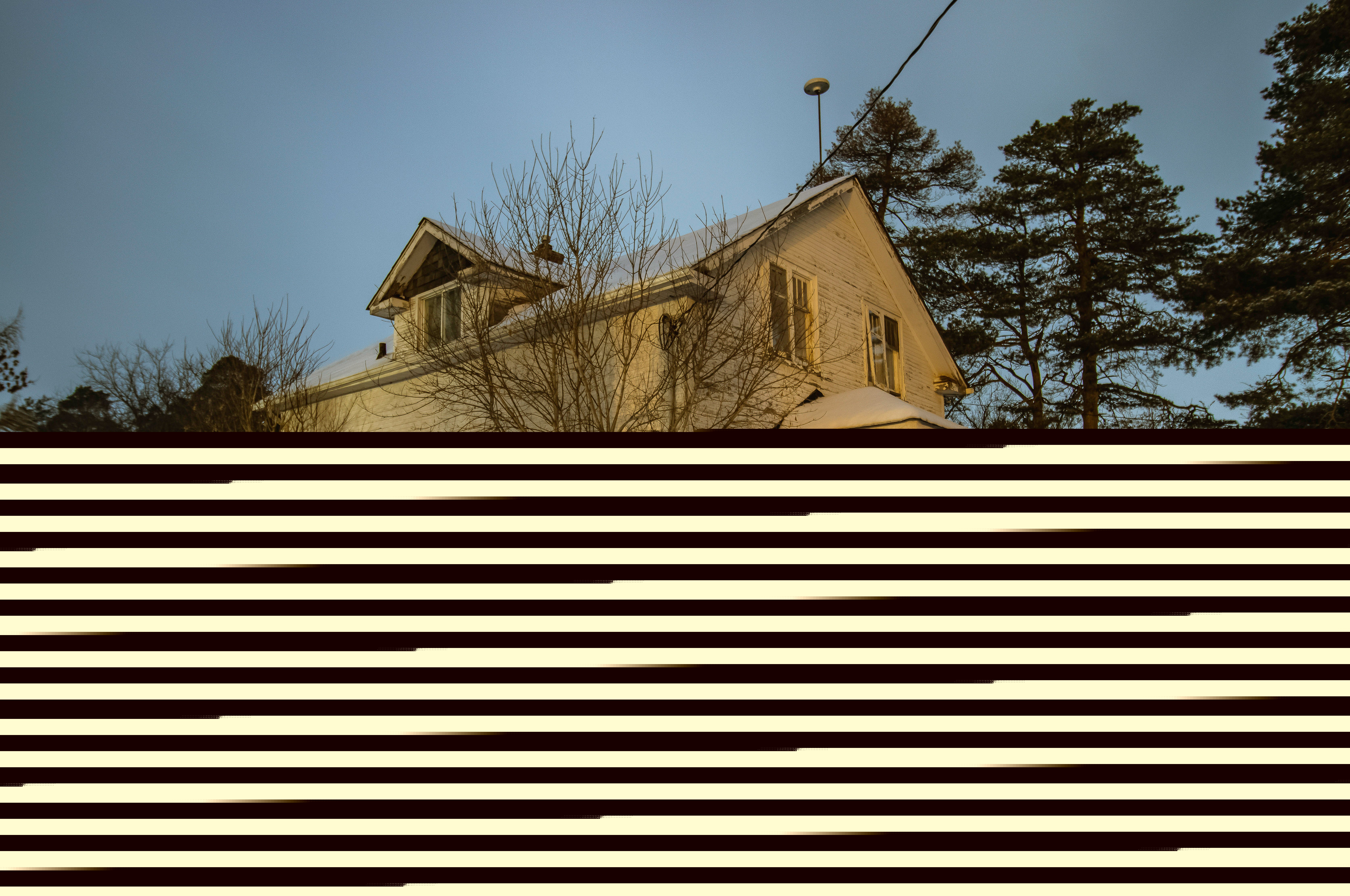 53180b29-b470-4546-888a-e01da28f0f58.jpg
