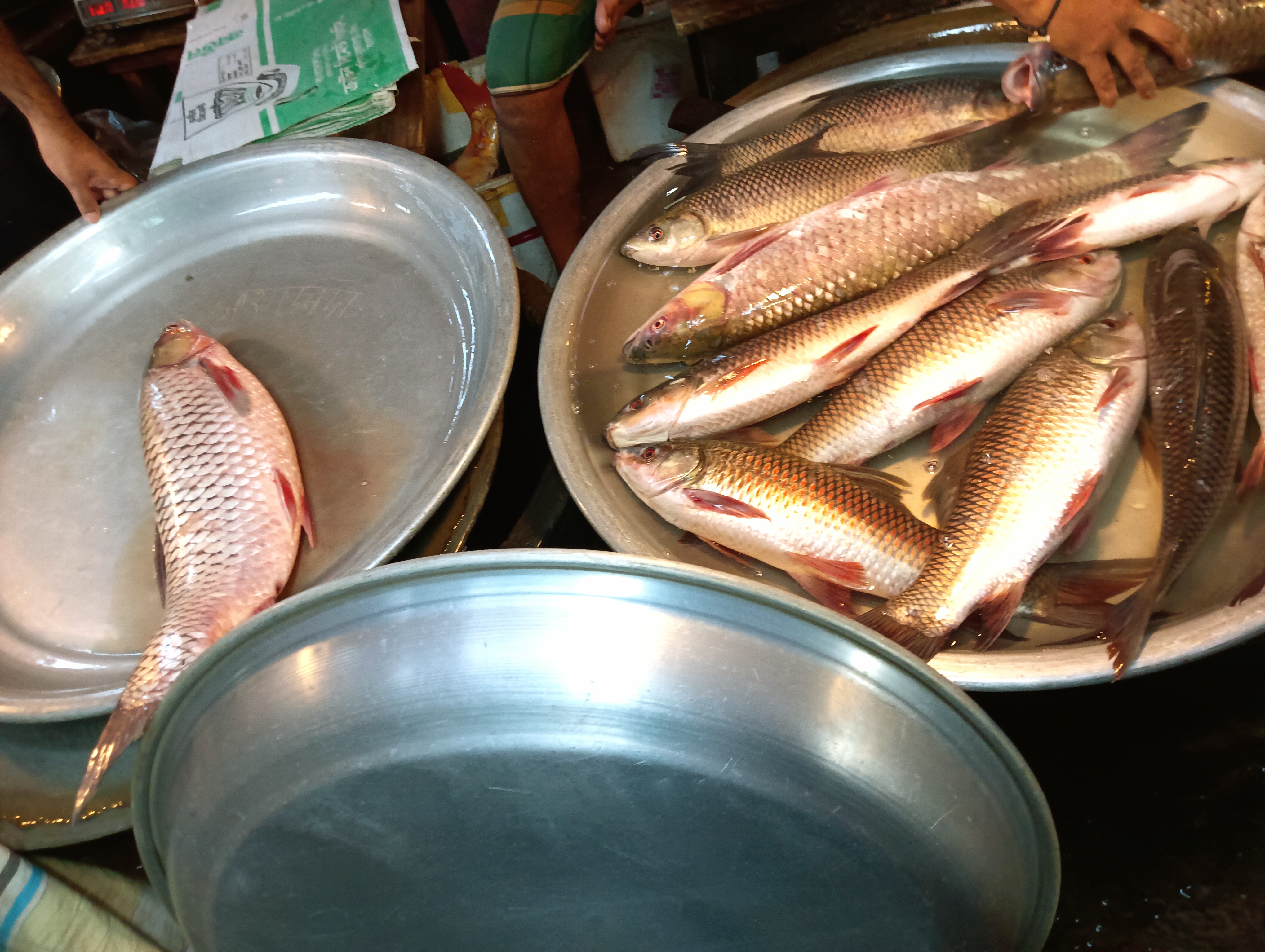 IMG20250508074441.jpg