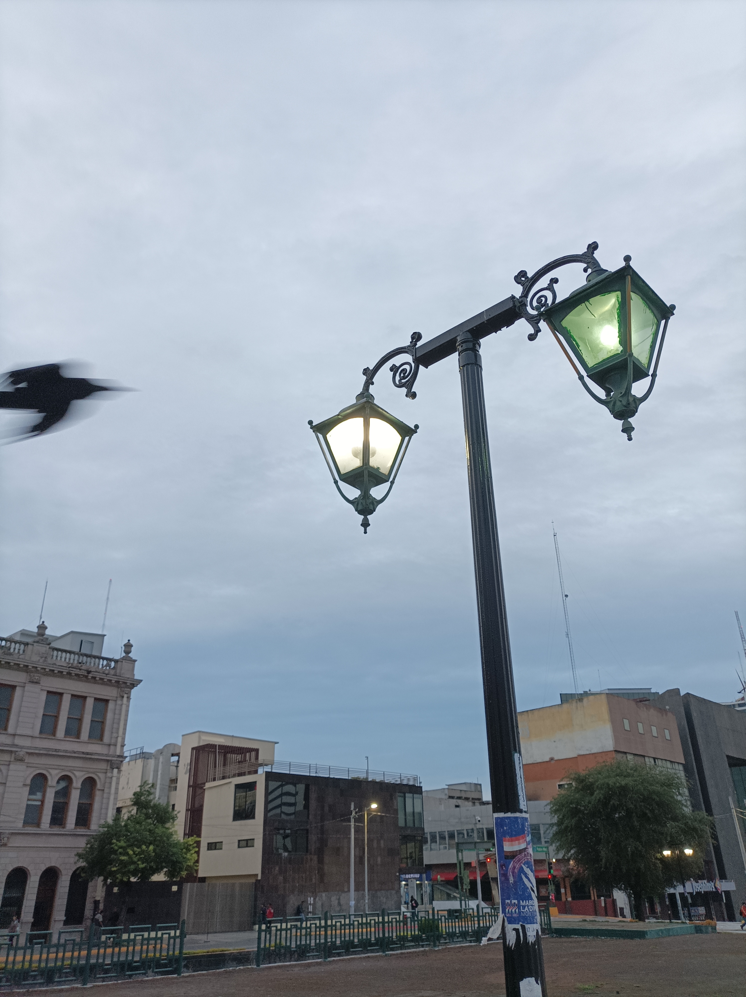 IMG_20231009_065016.jpg