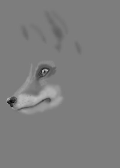 Fuchs_wip08web.jpg