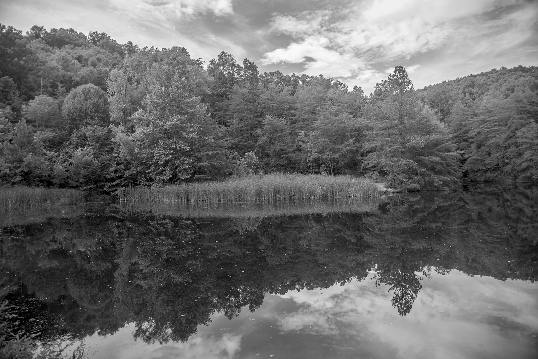 Lake Reflections s.jpg