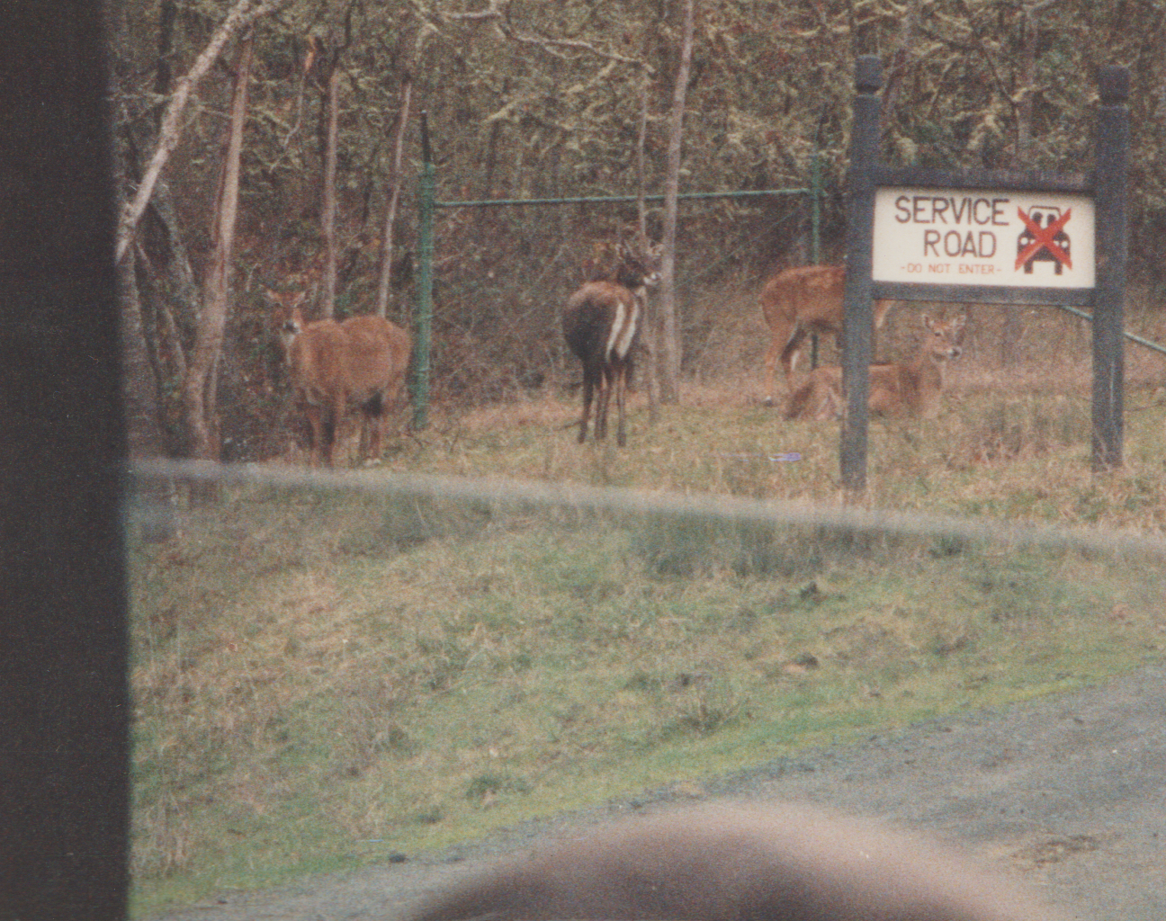 1992-12-26 - Saturday - Wildlife Safari Trip, Marilyn, Crystal-10.png