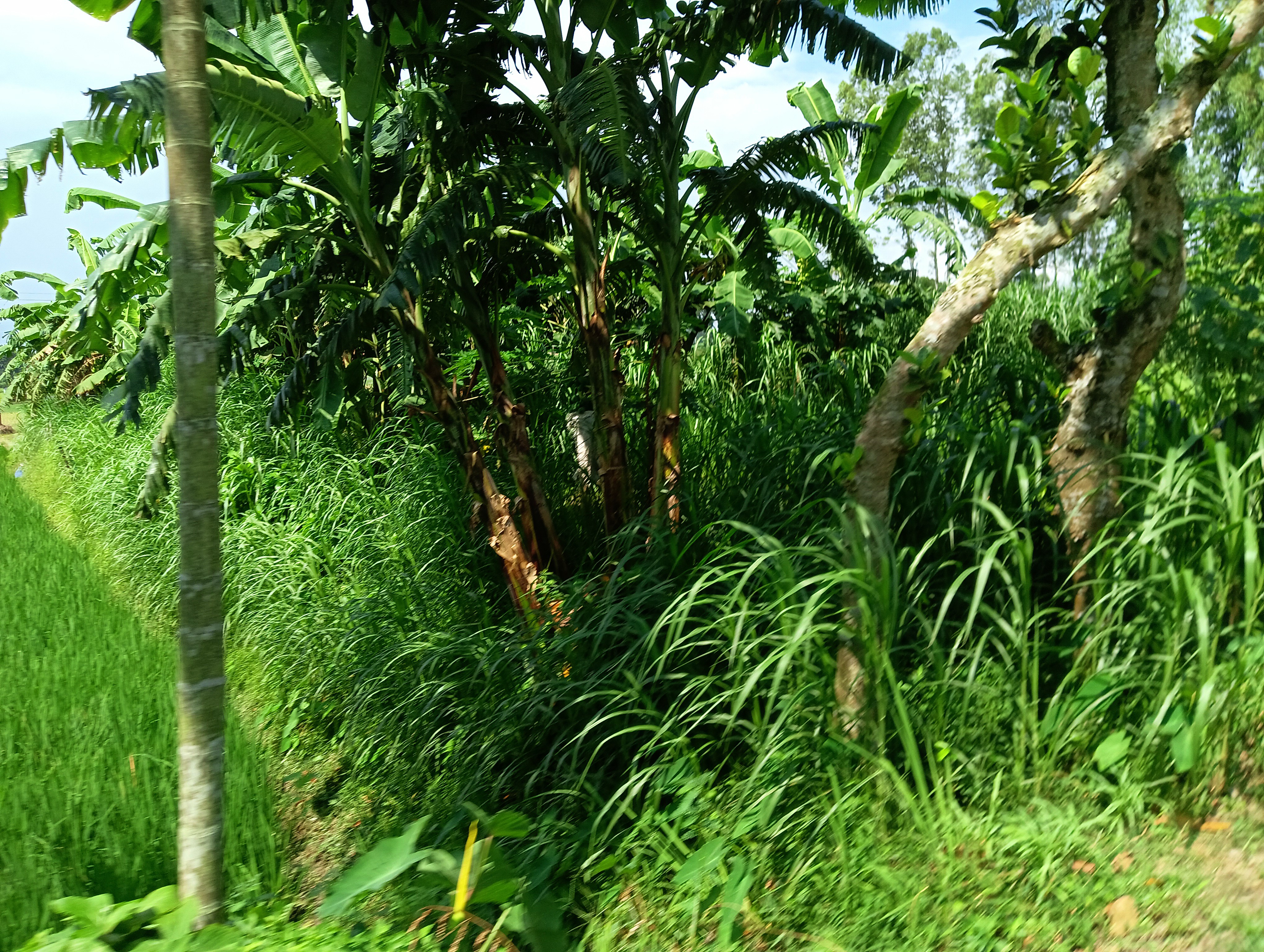 IMG20250822135356.jpg