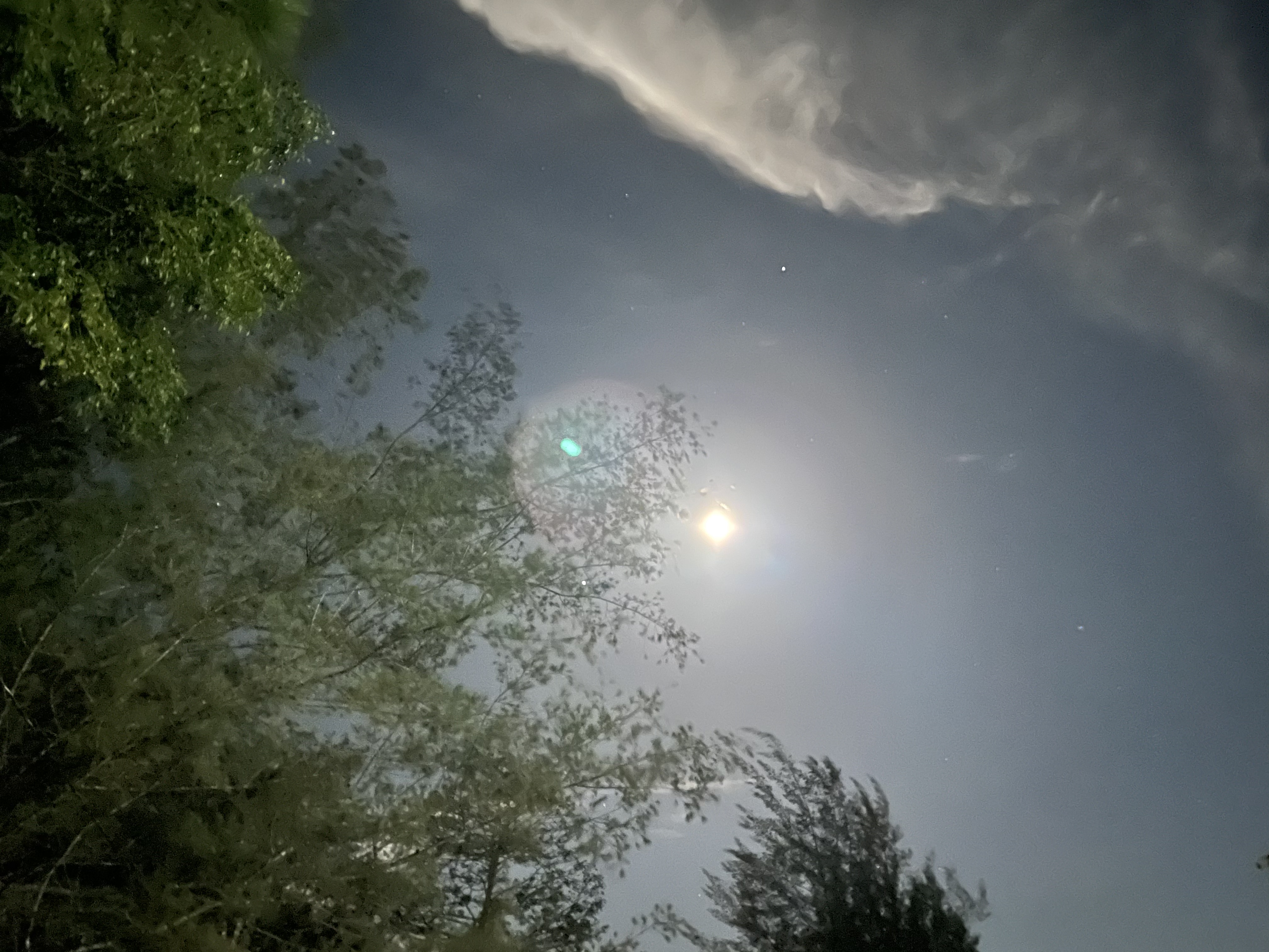 ED0015A3-B94B-407E-B87F-28000A6651E2.jpeg